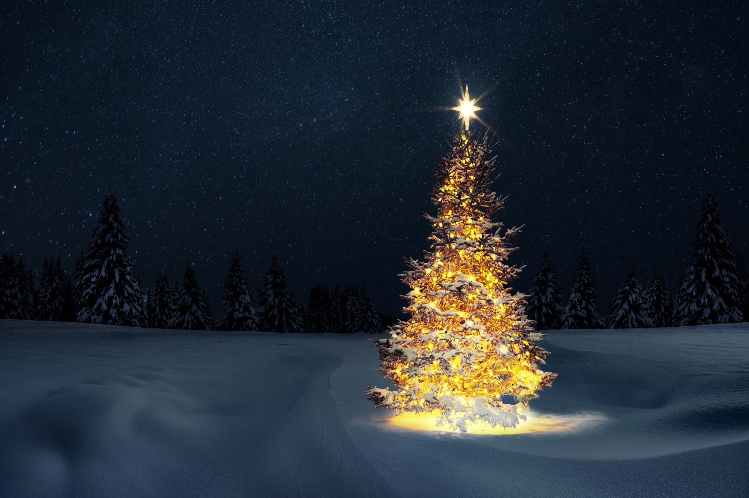 Amazon.com, CHNYWORK 10x6.5ft Christmas Tree Backdrop Winter Wonderland Pine Forest Starry Night Sky Snow Landscape Background Xmas Eve New Year Theme Party Decor Portrait Photo Studio Booth Props Wallpaper