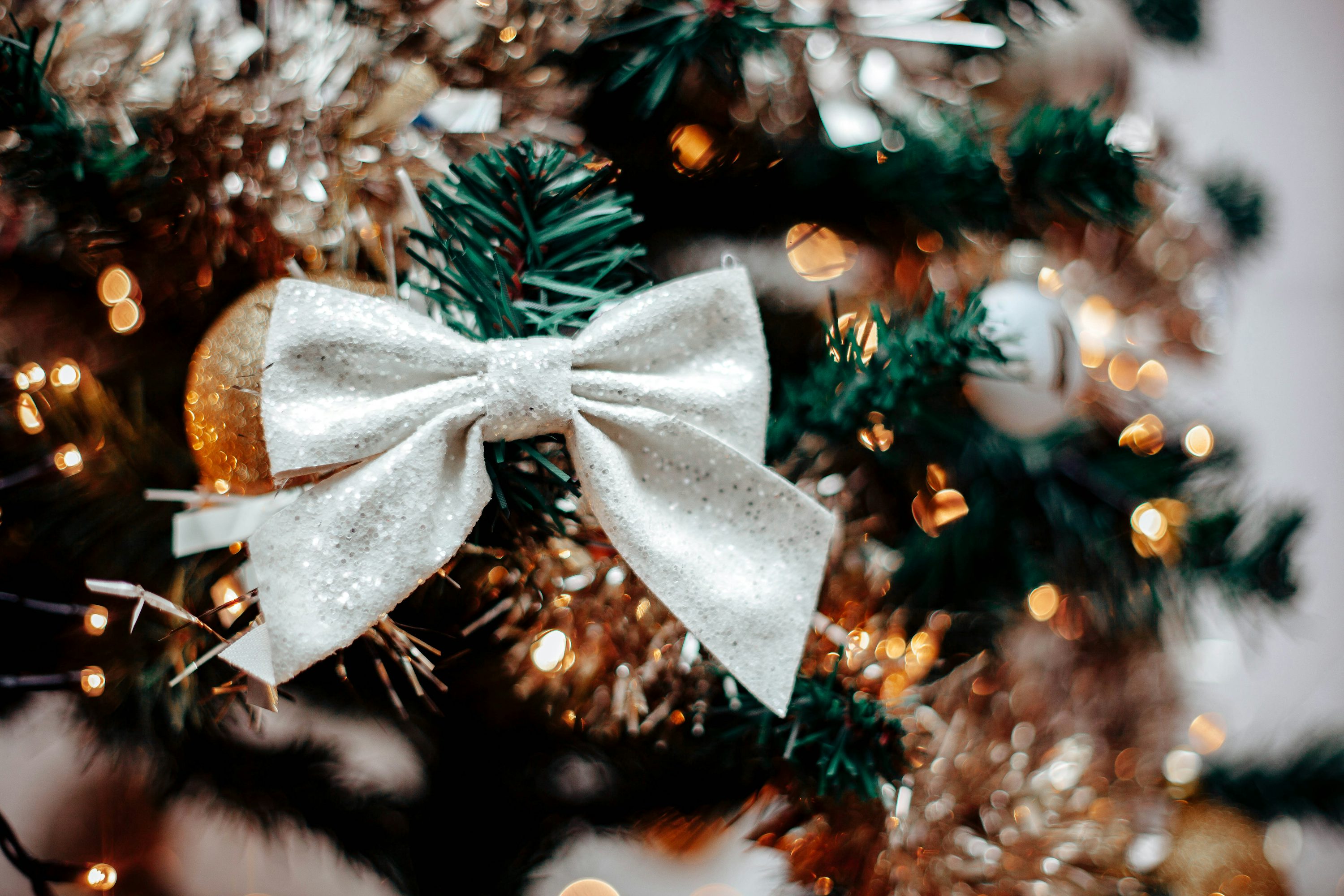 A close up of a christmas tree with a white bow photo