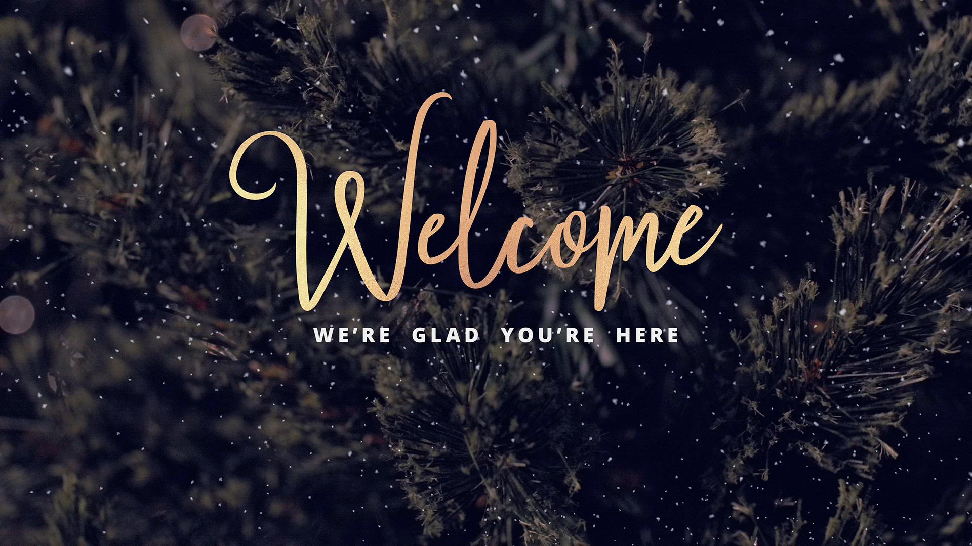 Christmas Tree Welcome. Motion Video Background