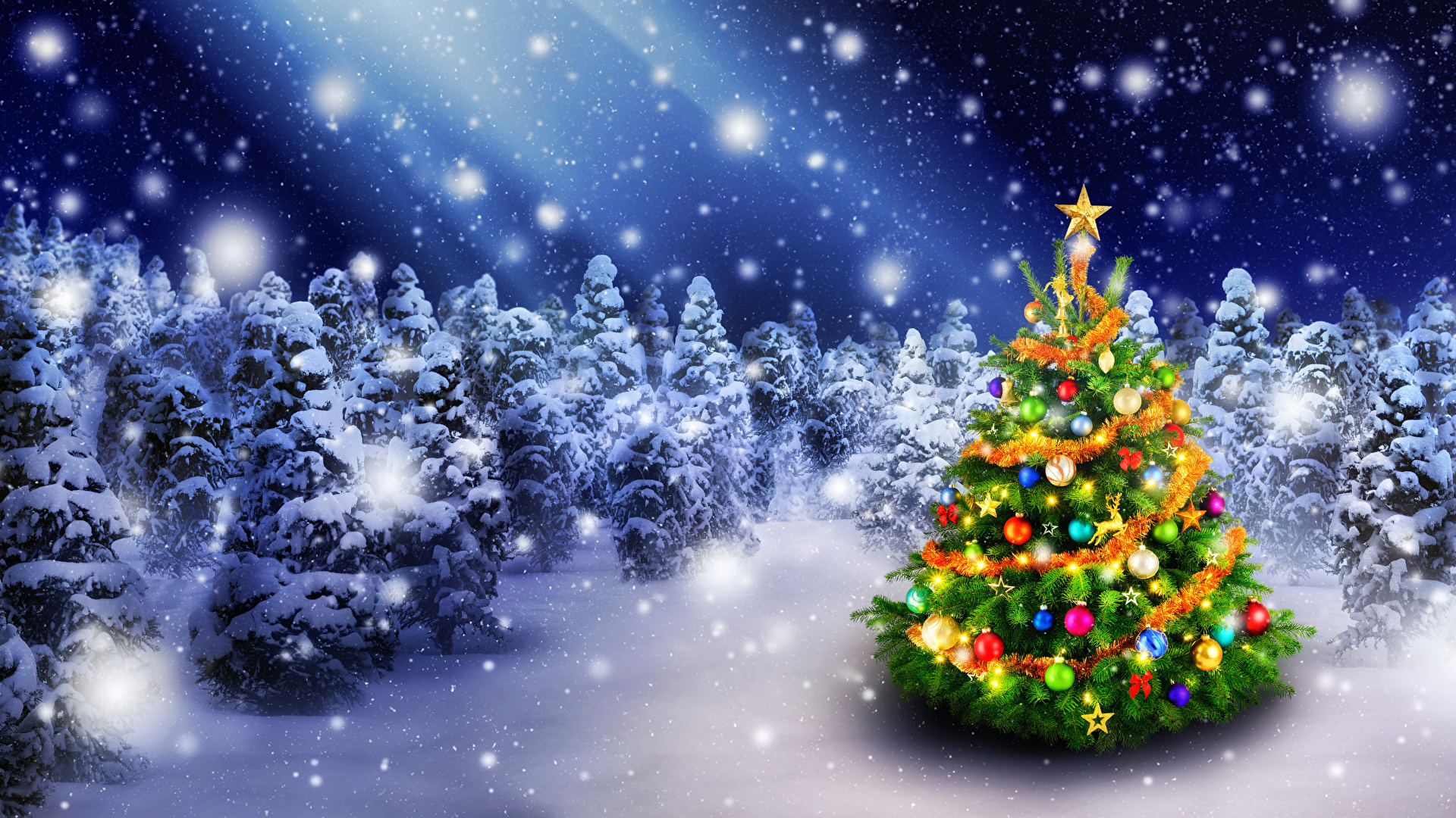 Wallpaper New year Winter Nature New Year tree Snow 1920x1080