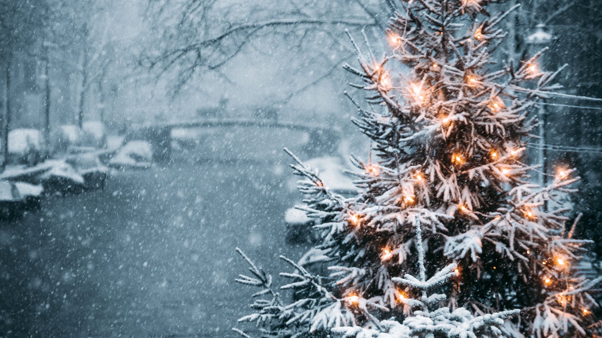 Download wallpaper 1920x1080 tree, garland, snow, winter, new year full hd, hdtv, fhd, 1080p HD background