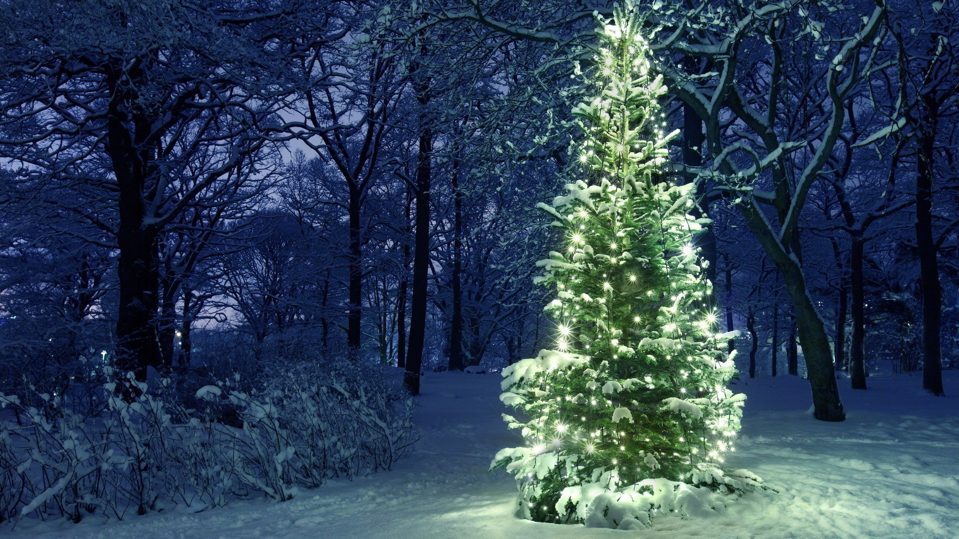 Glowing Christmas Tree Wallpaper 11622