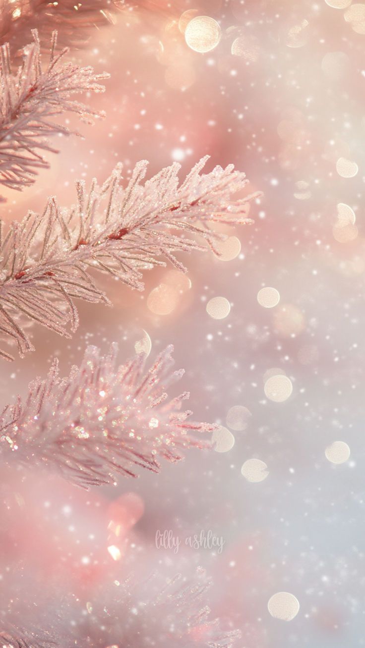 Cozy Winter Pink Wallpapers - Wallpaper Cave