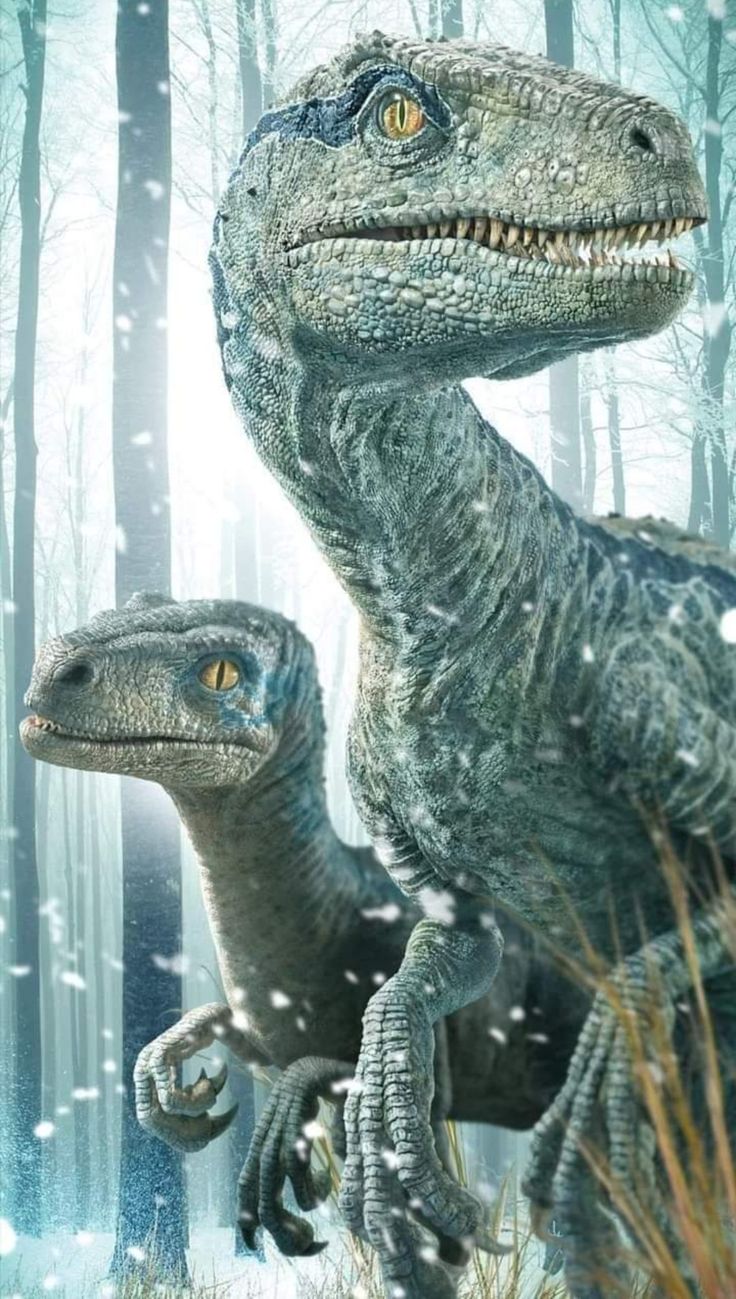 Blue y Beta. Jurassic park world, Jurassic world dinosaurs, Jurassic world wallpaper