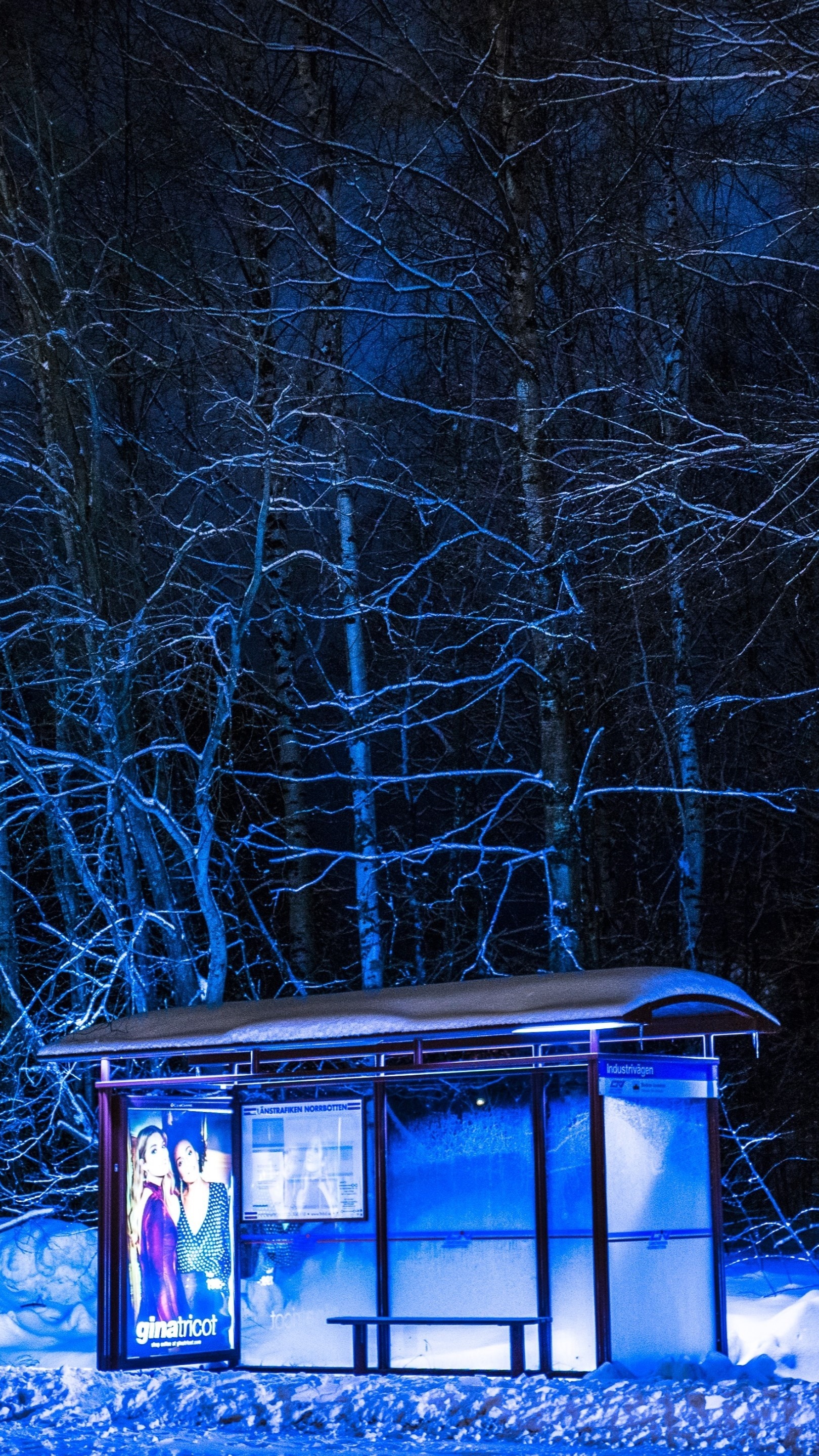 Bus station on a winter night