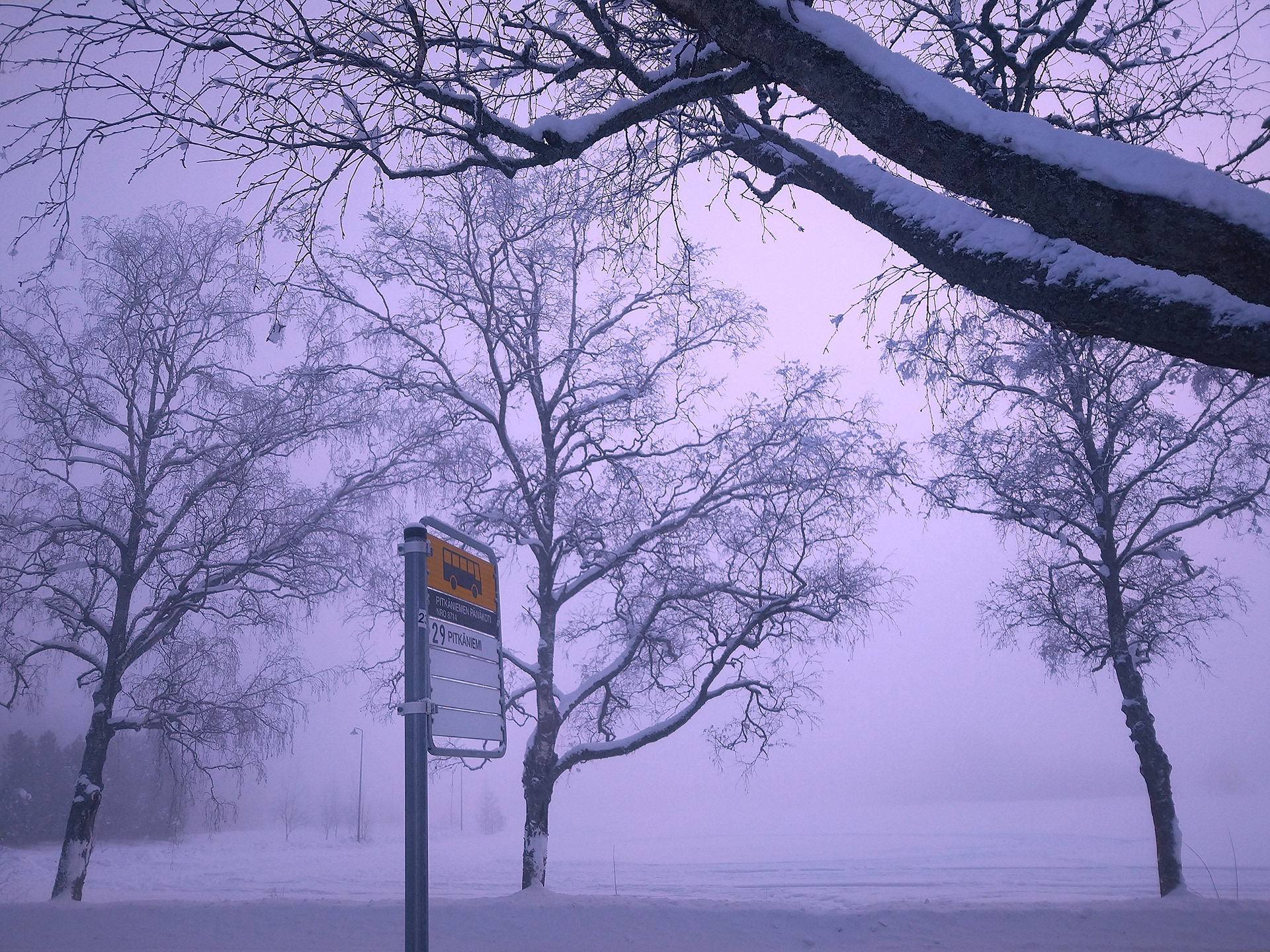 Bus Stop of Waiting. Image - Behance
