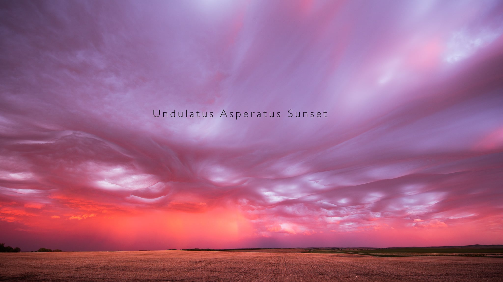 Undulatus Asperatus Sunset (4K, 8K)