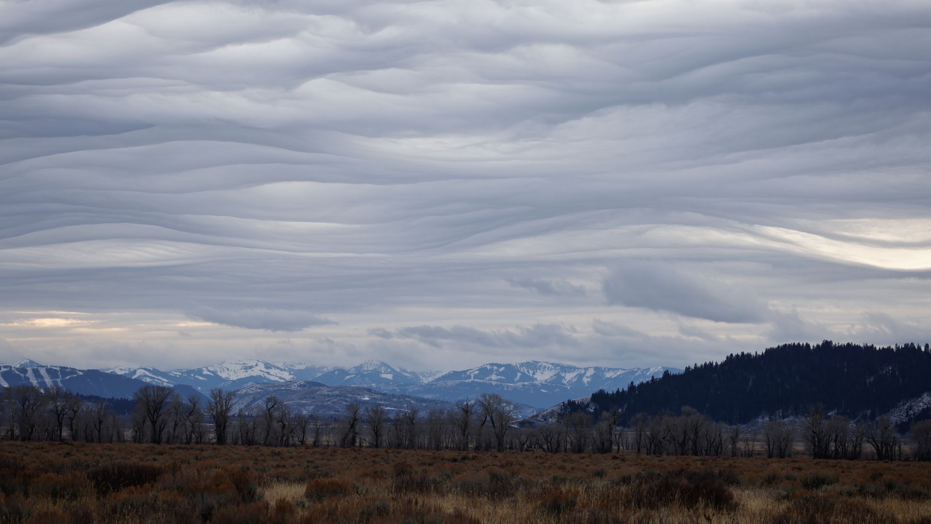 SNAPPED: Unusual clouds undulate over the valley
