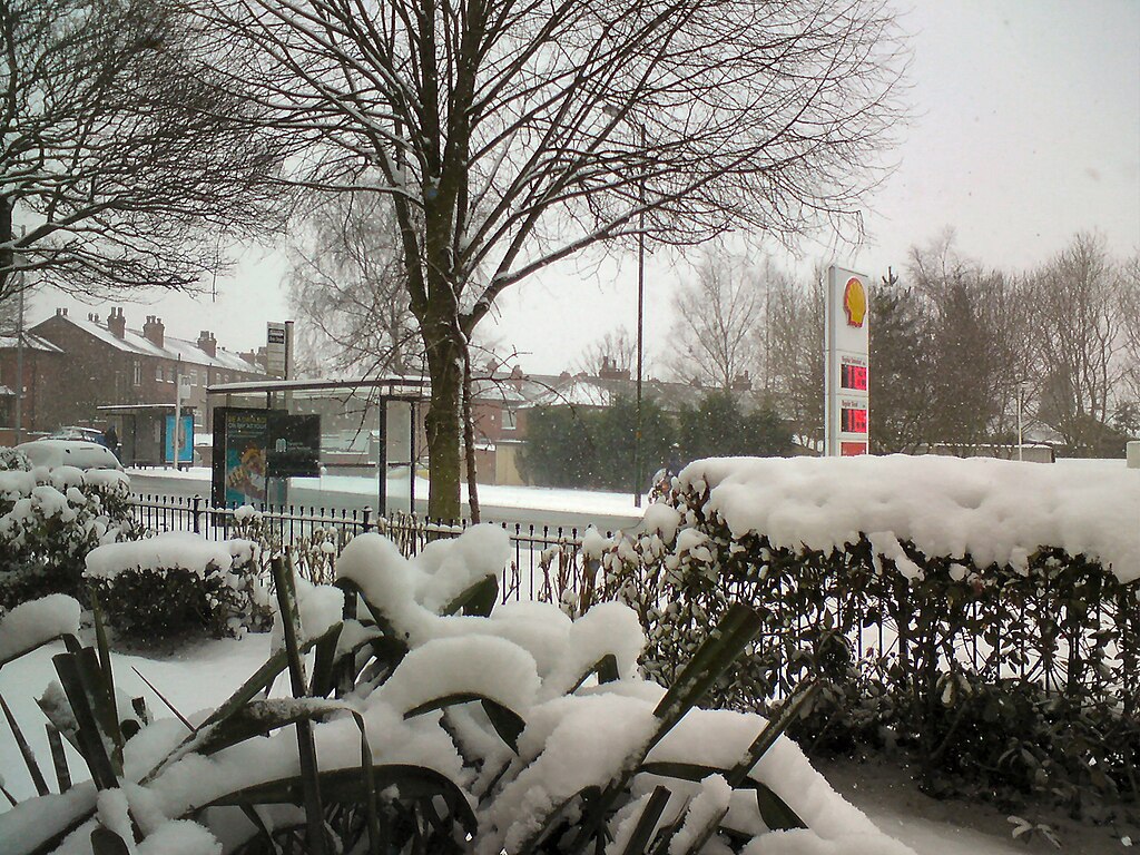 Bus stops in the snow.org.uk