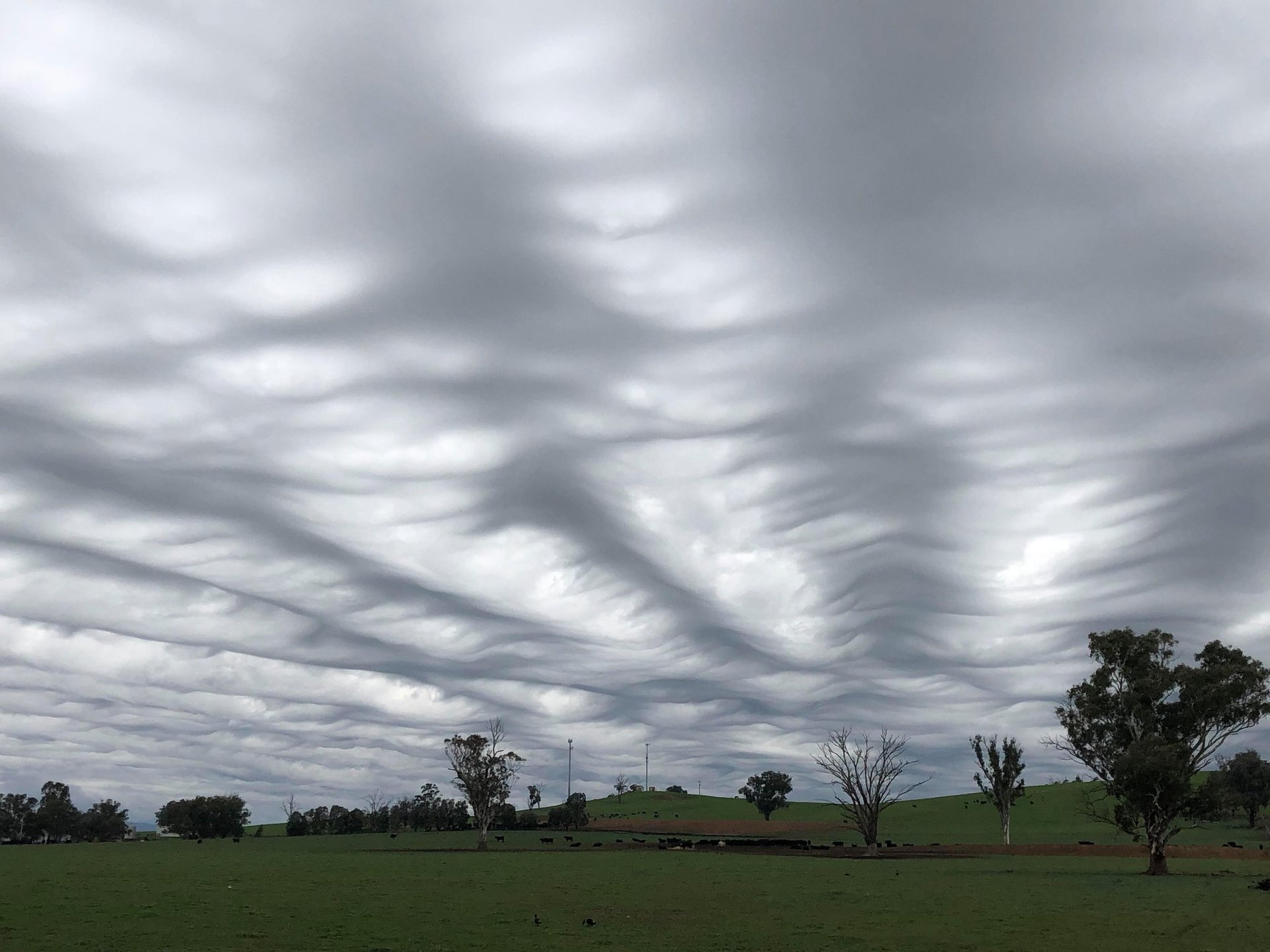 Aussie captures rare 'stunning' clouds in sky