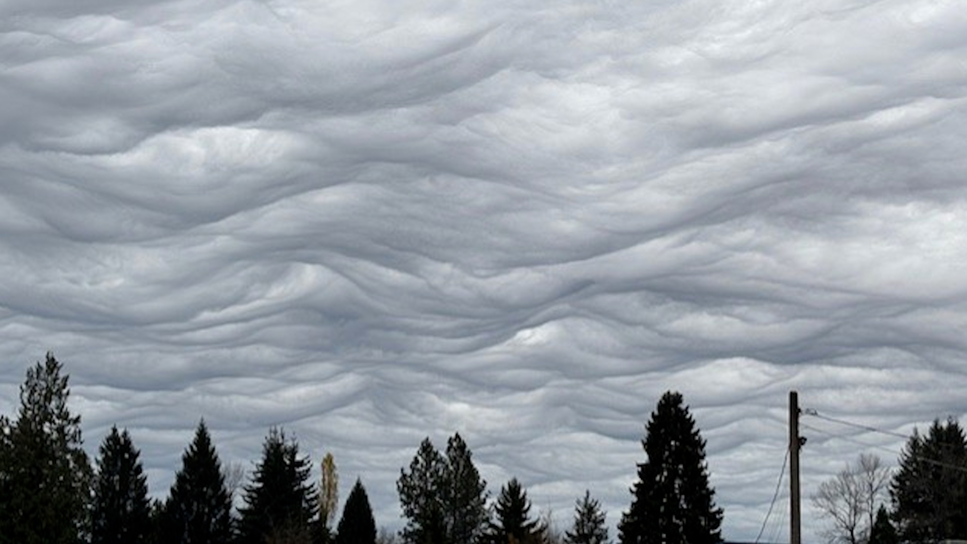 Asperitas clouds make waves in Lower Mainland skies