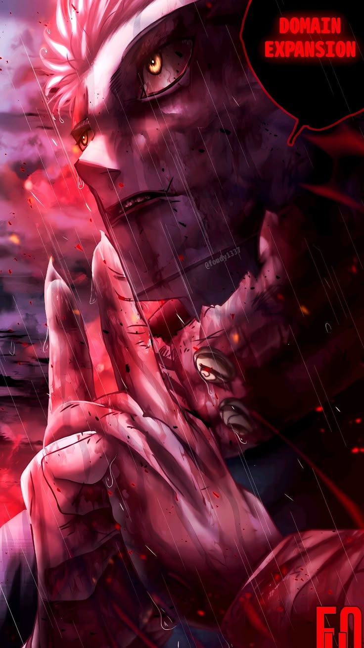 Itadori Yuji Domain Expansion