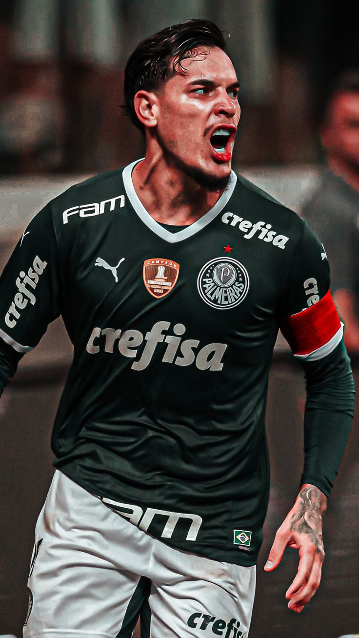 Gustavo Gomez. Palmeiras fc, Futebol palmeiras, Futebol masculino