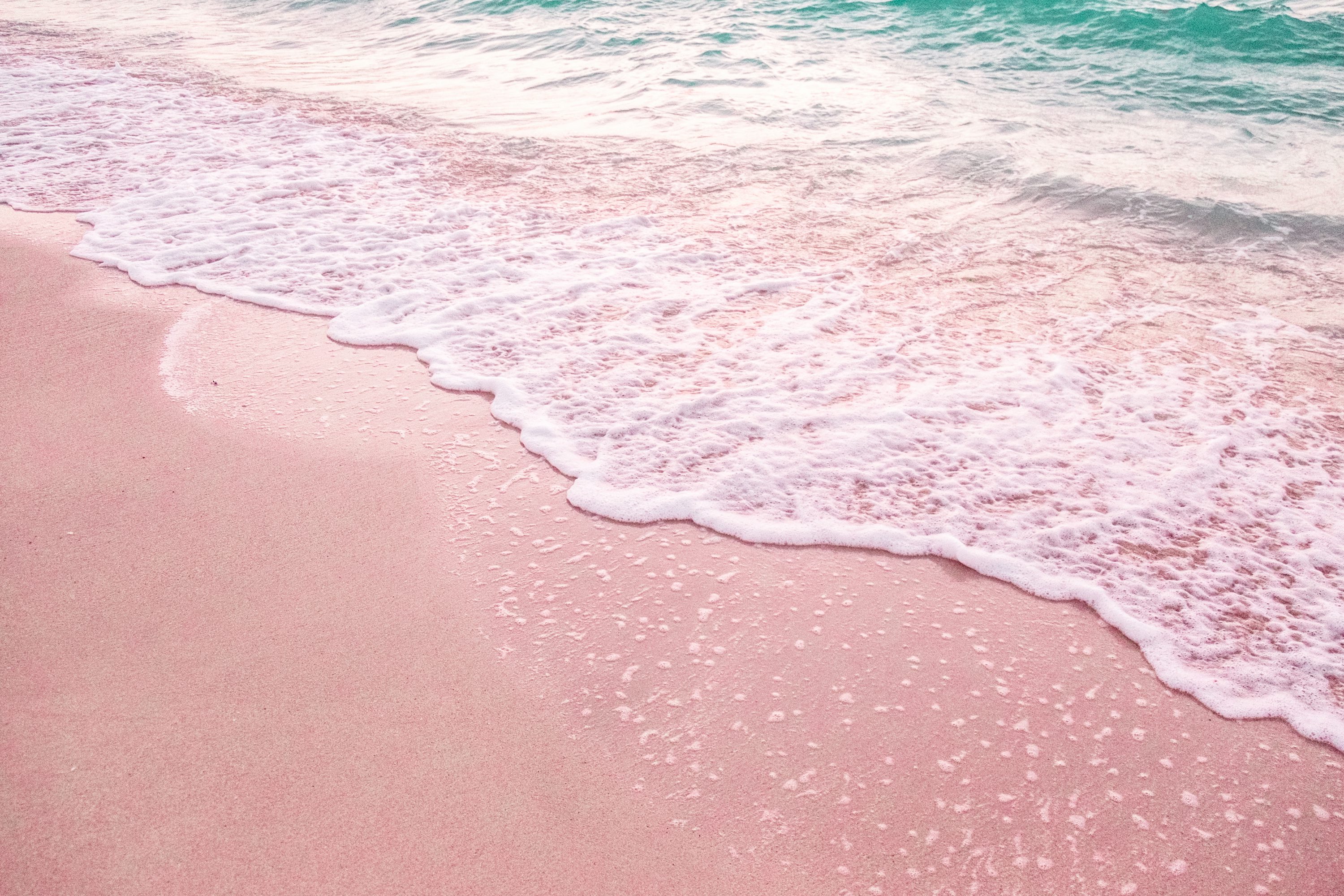 1K+ Pink Beach Picture. Download Free Image