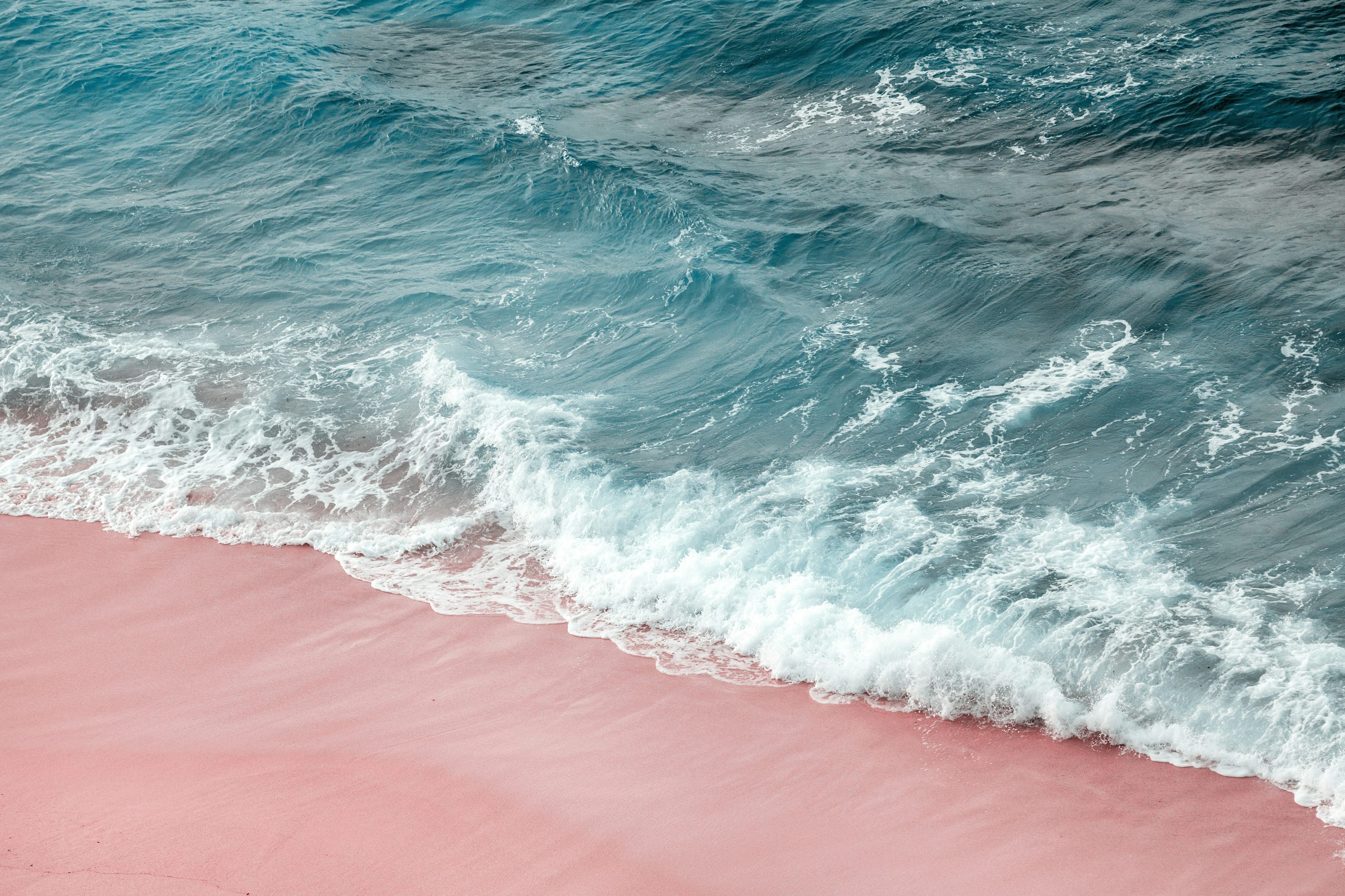 1K+ Pink Beach Picture. Download Free Image
