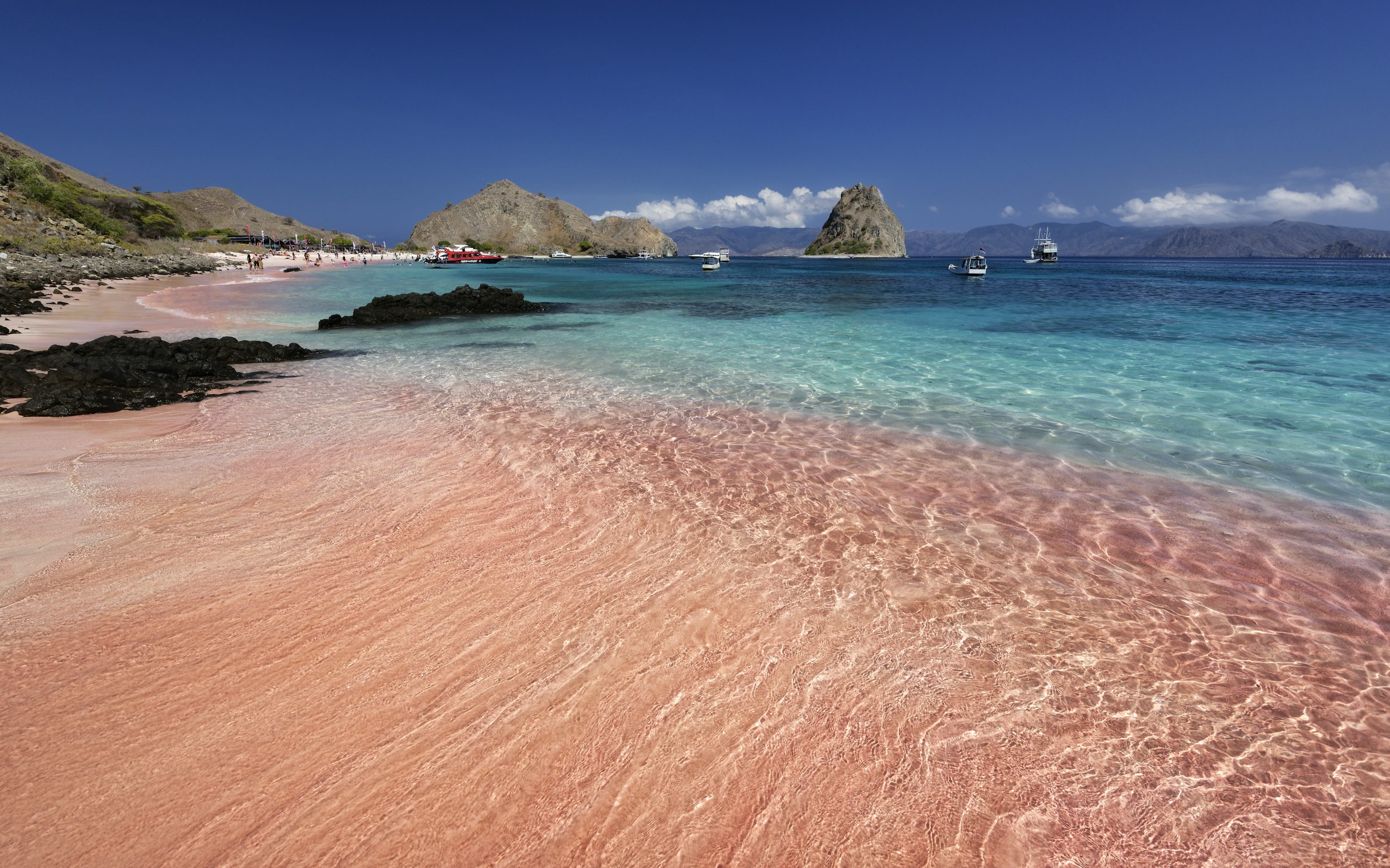 1K+ Pink Beach Picture. Download Free Image