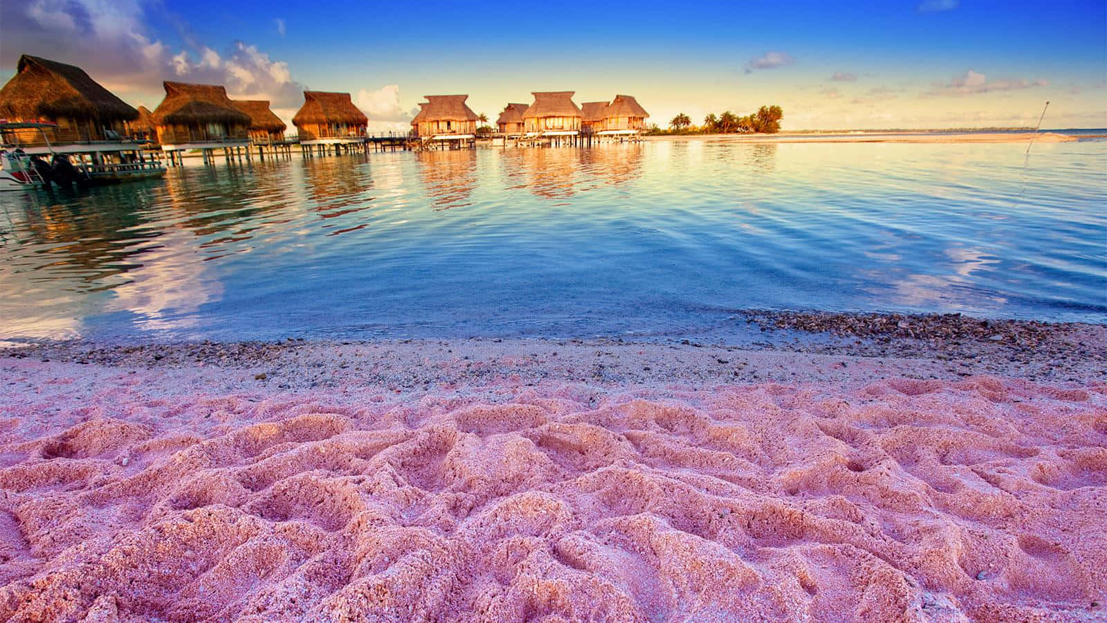 Download A Stunning View of Pink Sand Beach Wallpaper