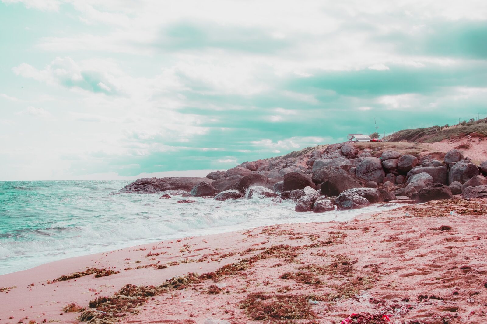 Visit Beautiful Pink Sand Beaches in the Bahamas