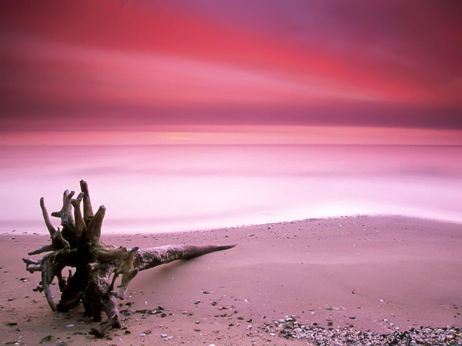 Pink sand beach Desktop wallpaper 640x480