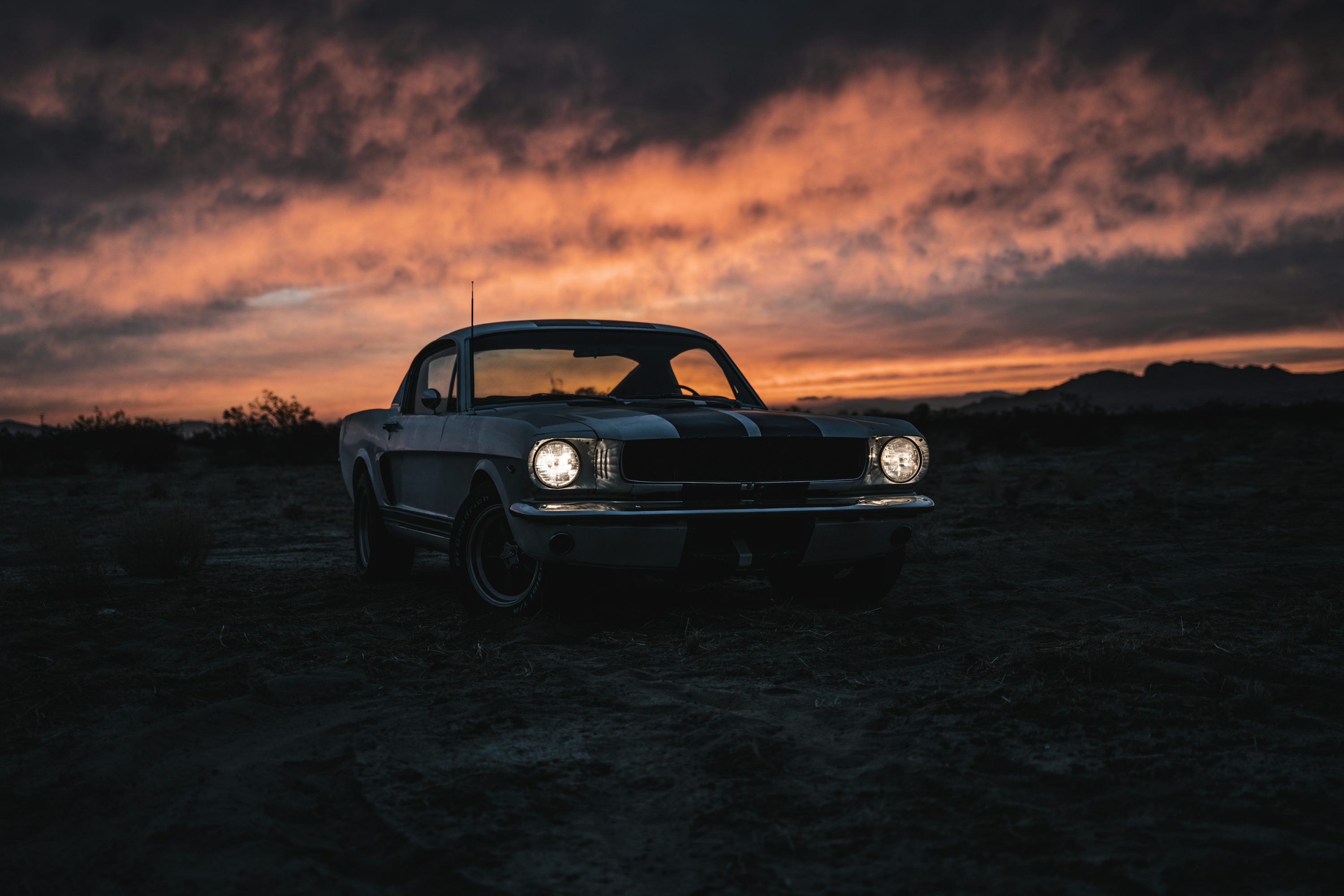 Old Mustang Picture. Download Free Image