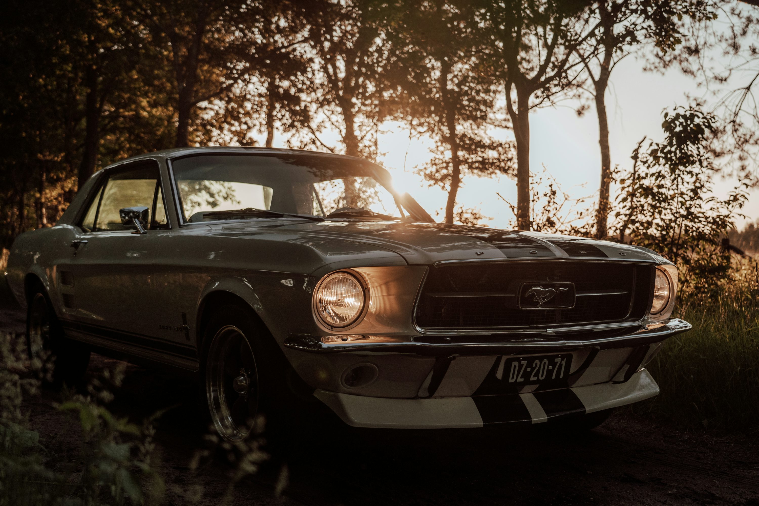 Old Mustang Picture. Download Free Image