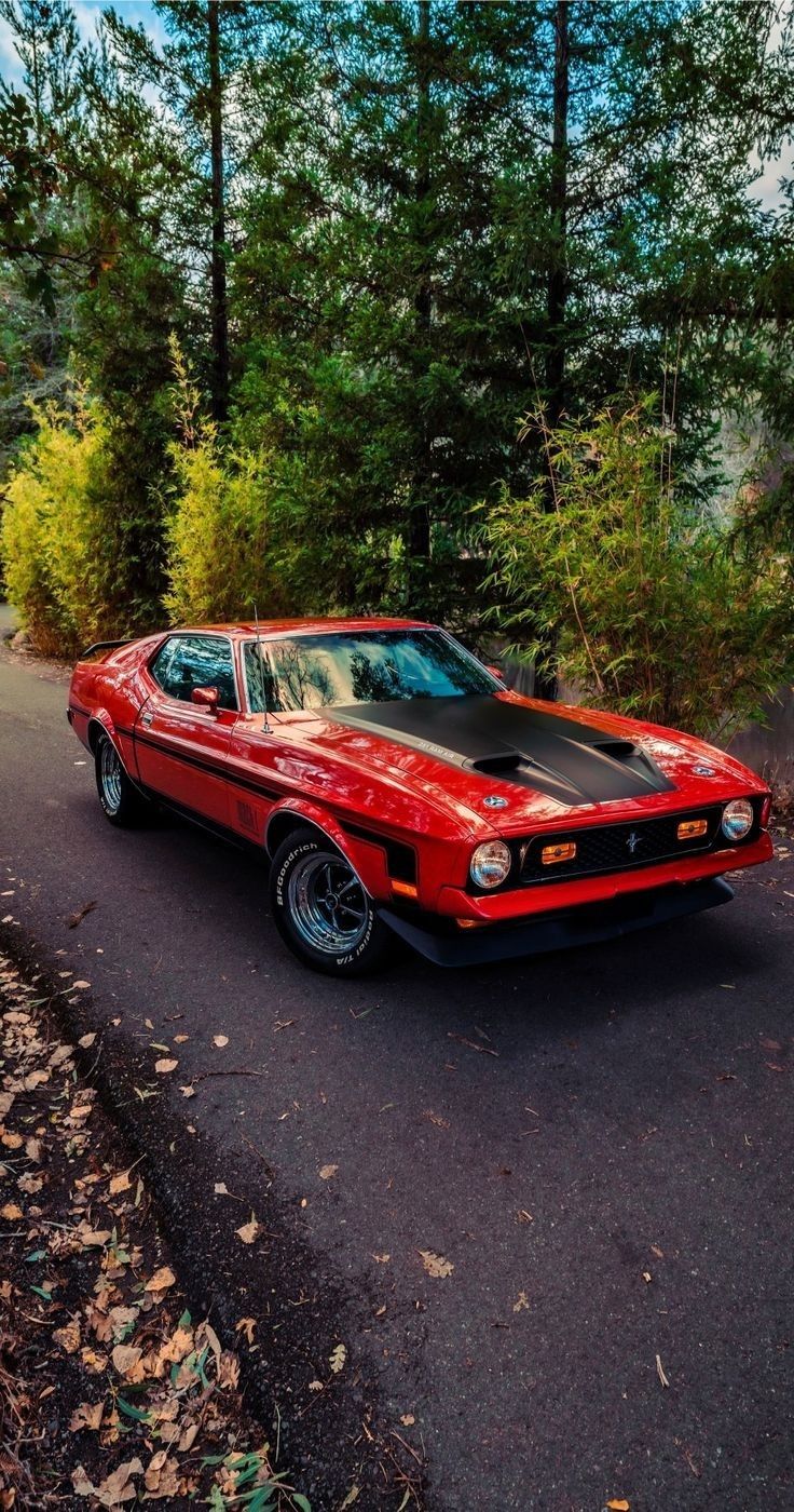 Mustang Mach 1 1973 ✖️