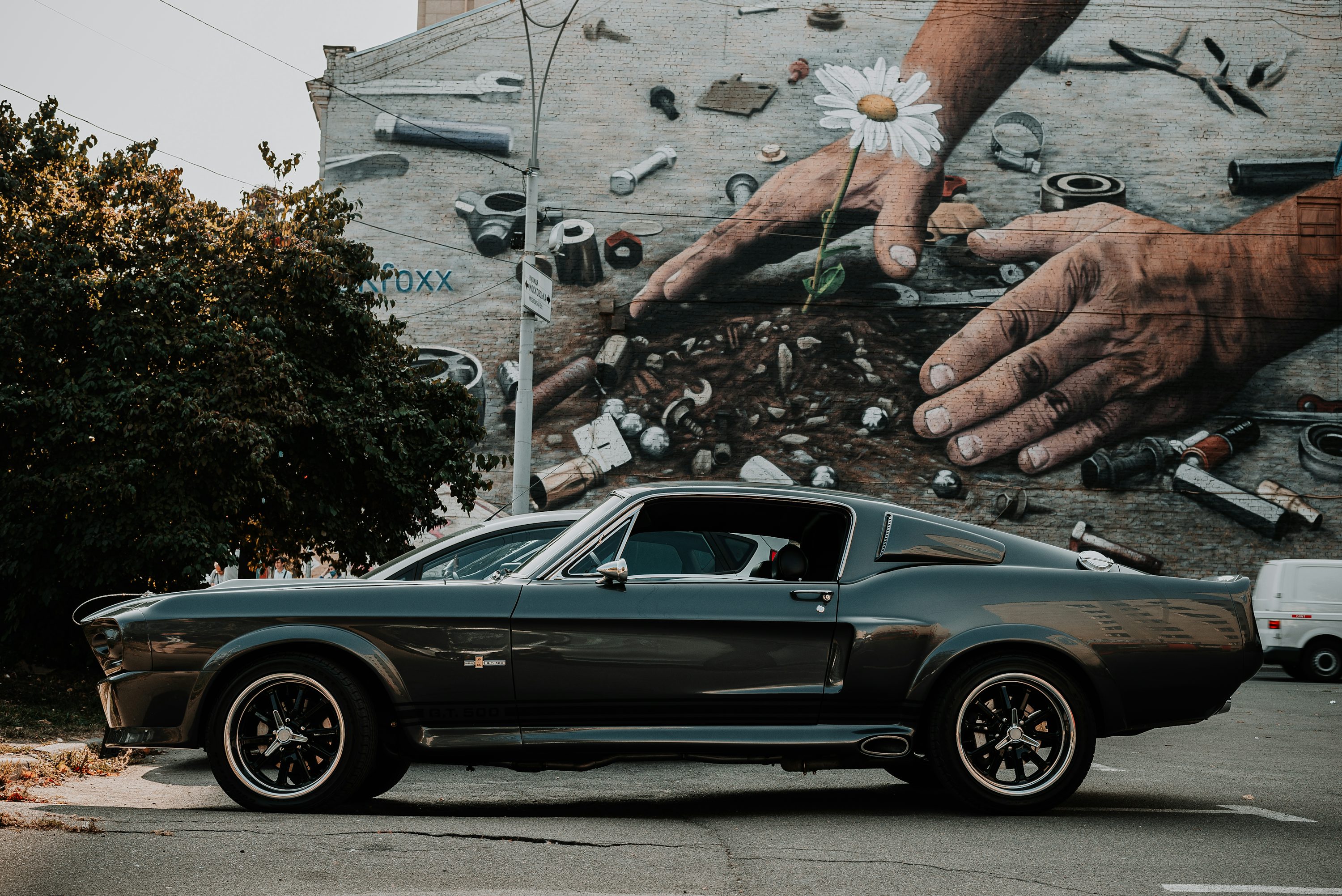 Classic Mustang Picture. Download Free Image