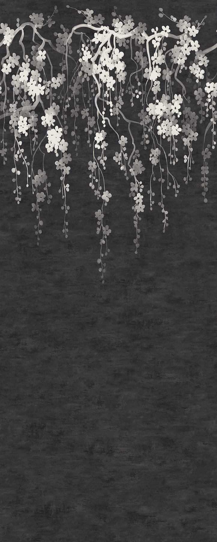 Sakura Blooms Wall Mural- Black Wallcoverings