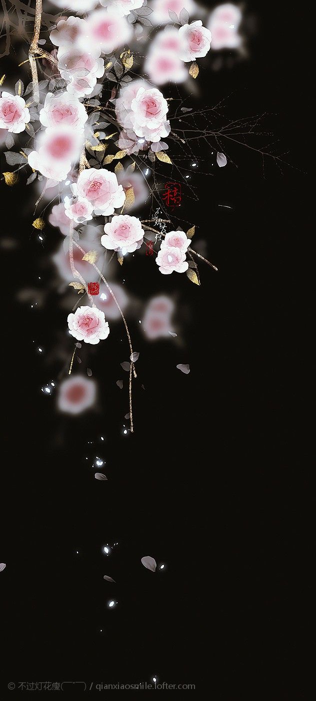 Pink and White Flowers on Black Background