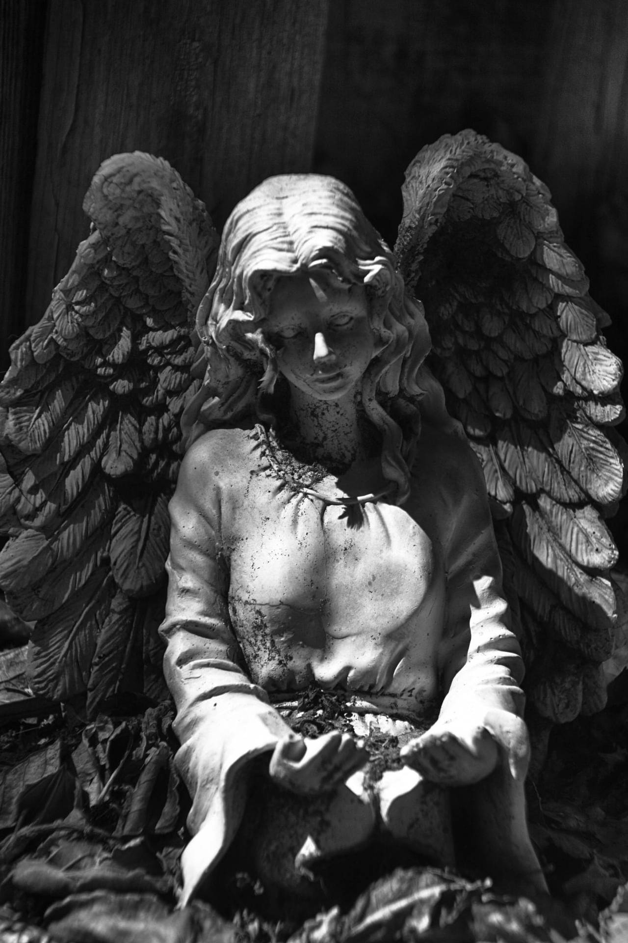 Download Captivating Angel Statue In Serene Atmosphere Wallpaper