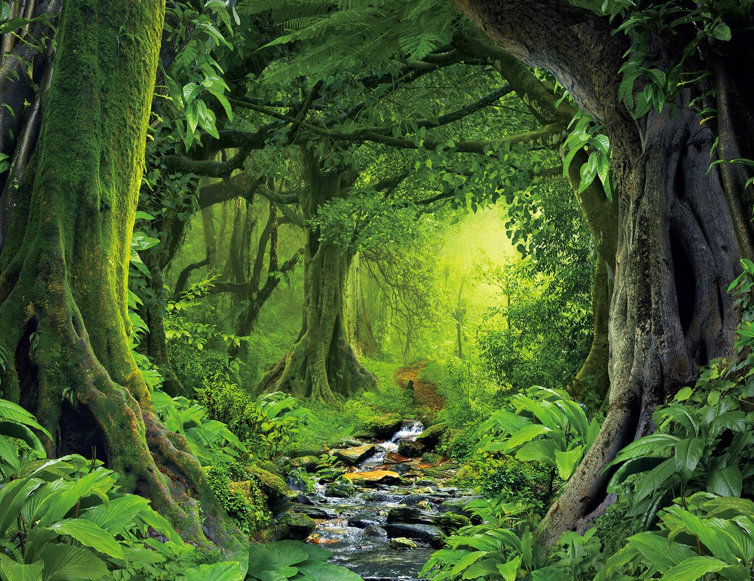 Lush Forest Wallpapers Wallpaper Cave Lush Forest Wallpapers Wallpaper Cave