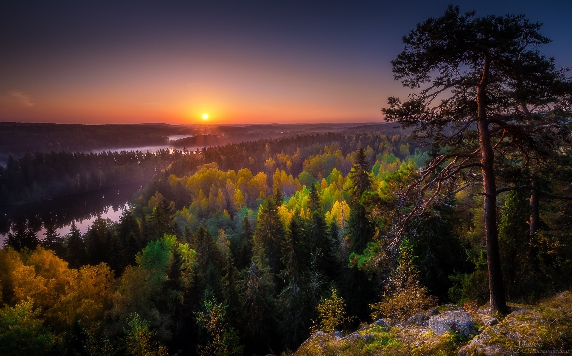 Sunrise Over a Lush Forest Horizon Nature Landscape HD Wallpaper