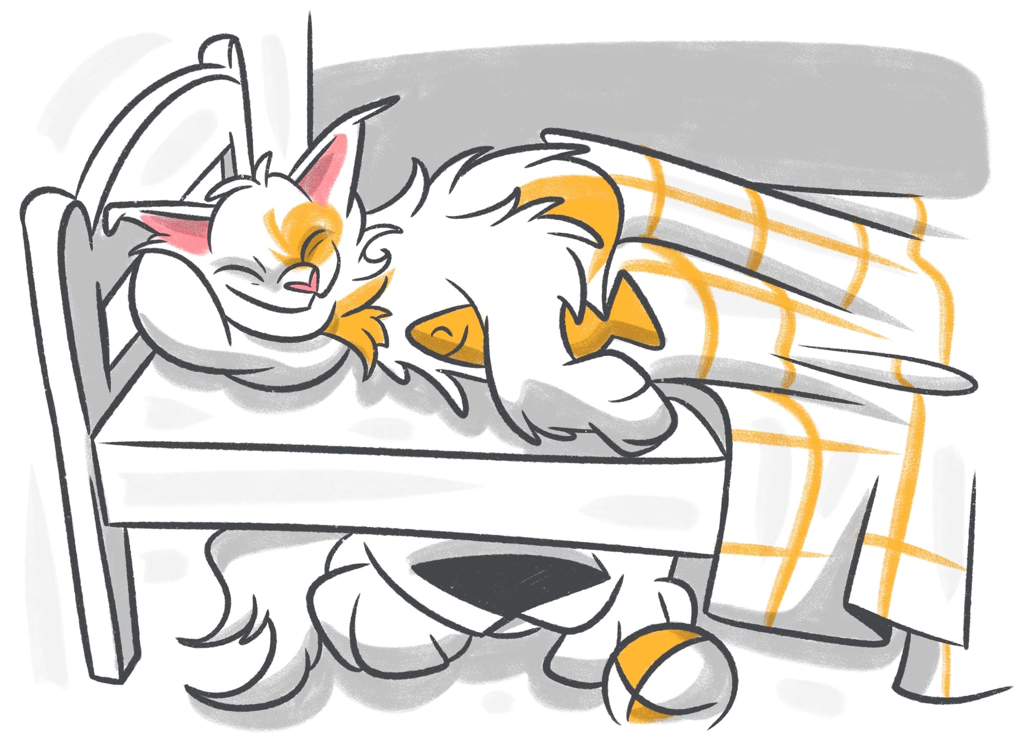 Analyzing Your Cat's Sleeping Position on Your Bed