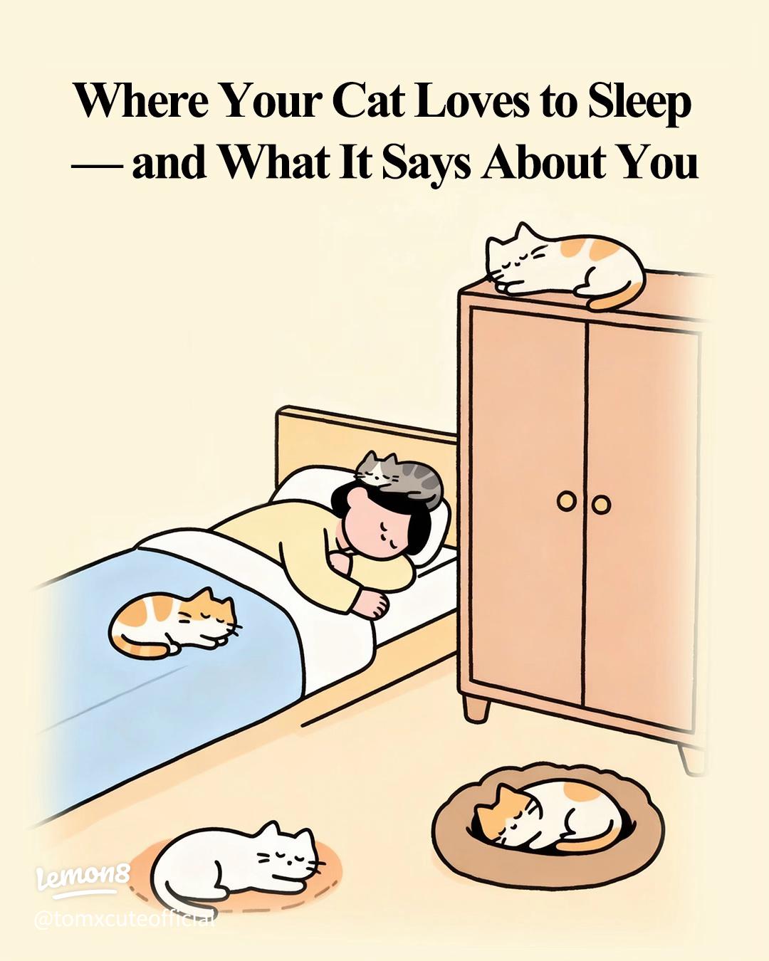 Decoding Your Cat's Sleep Positions for Better Understanding