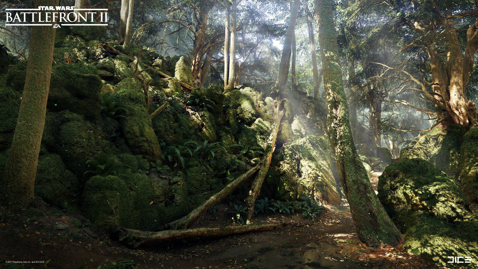 Wallpaper forest, nature, stones, Star Wars Battlefront 2, Mazs Castle Forest for mobile and desktop, section игры, resolution 1920x1080