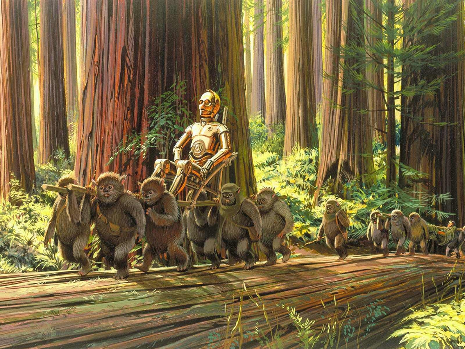 Star Wars Ewok Forest Wallpaper & Background Download