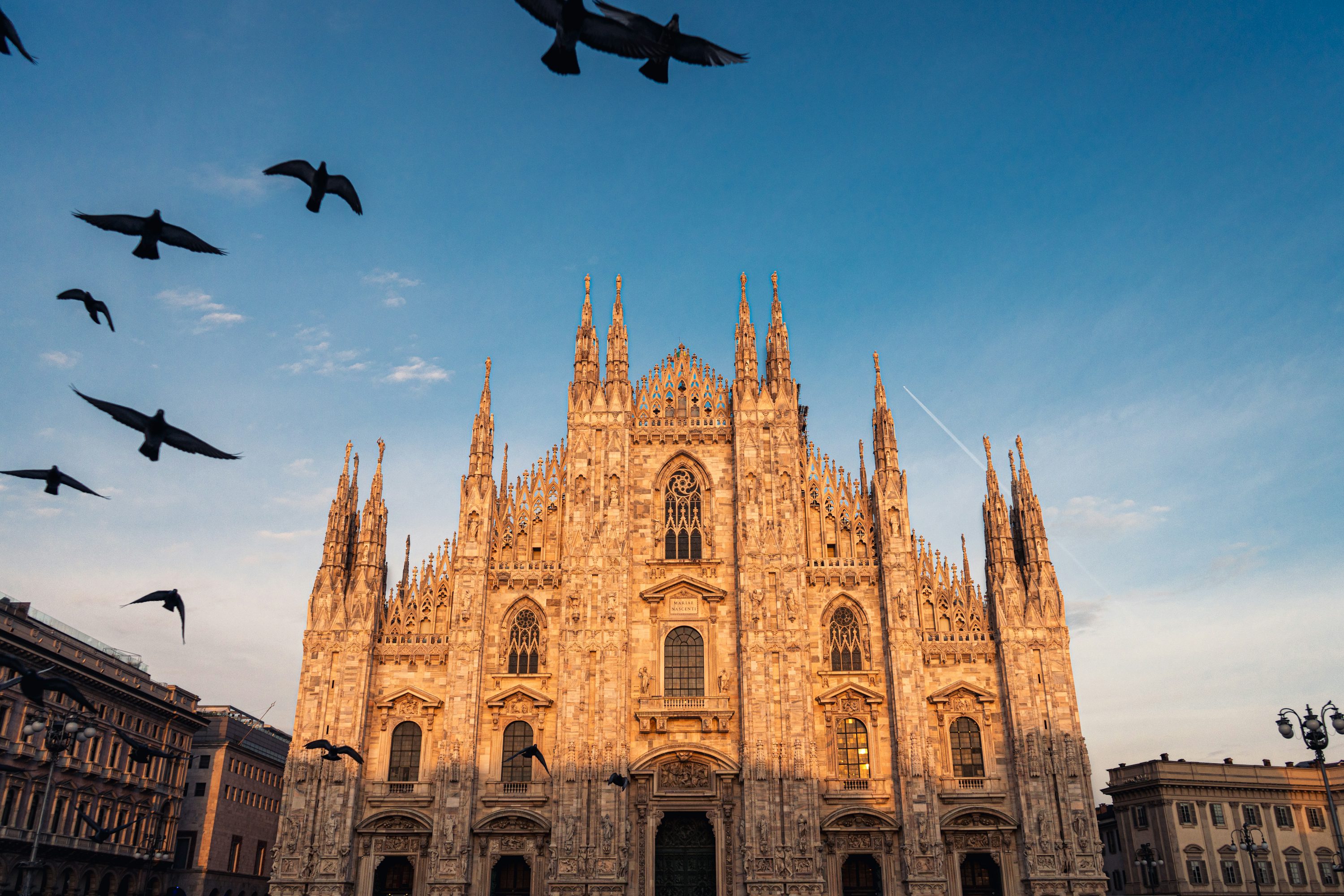 Birds fly near the milan cathedral. photo