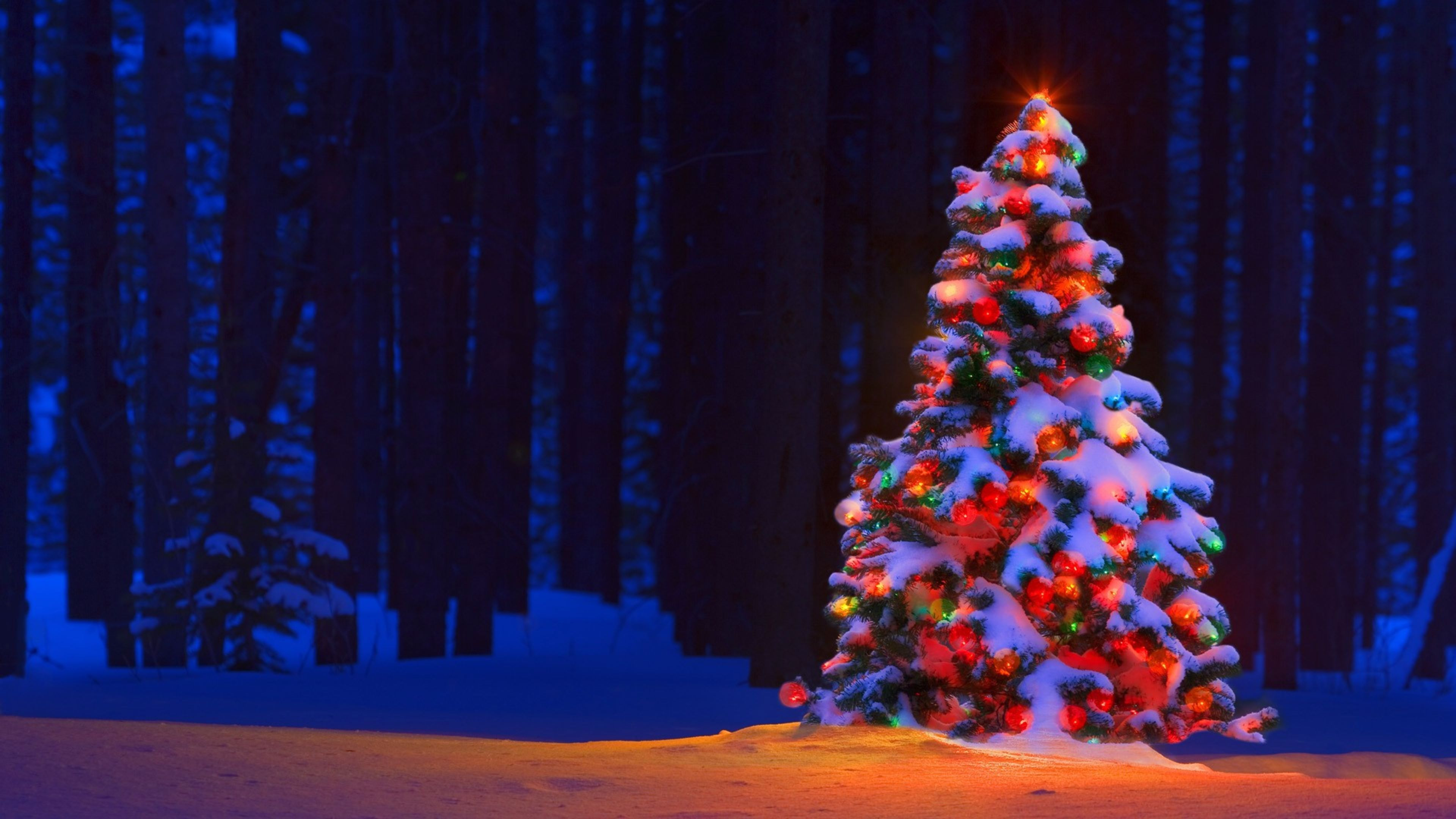 4K Christmas Tree Desktop Wallpaper 47617
