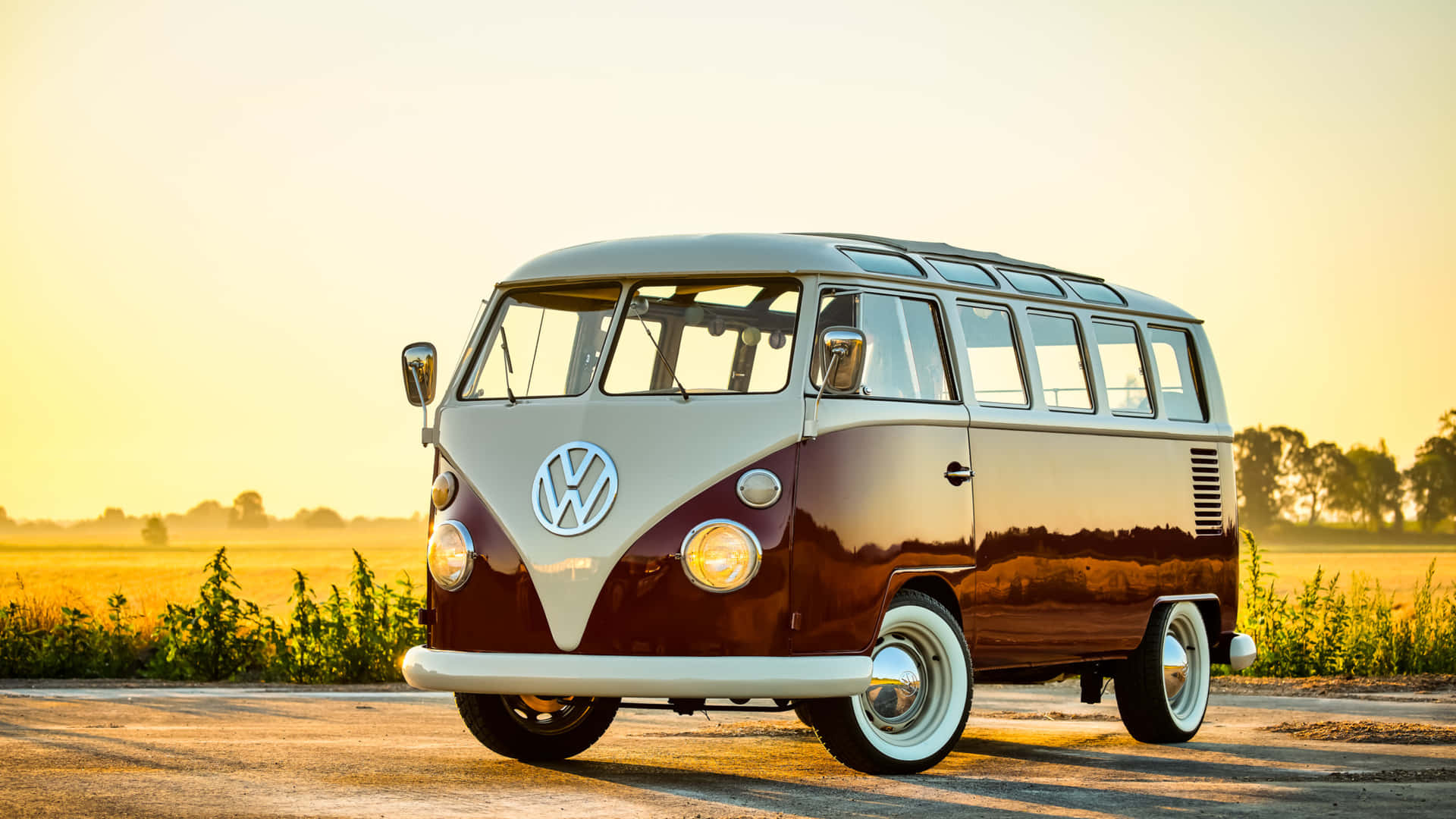 Download Volkswagen Bus Picture