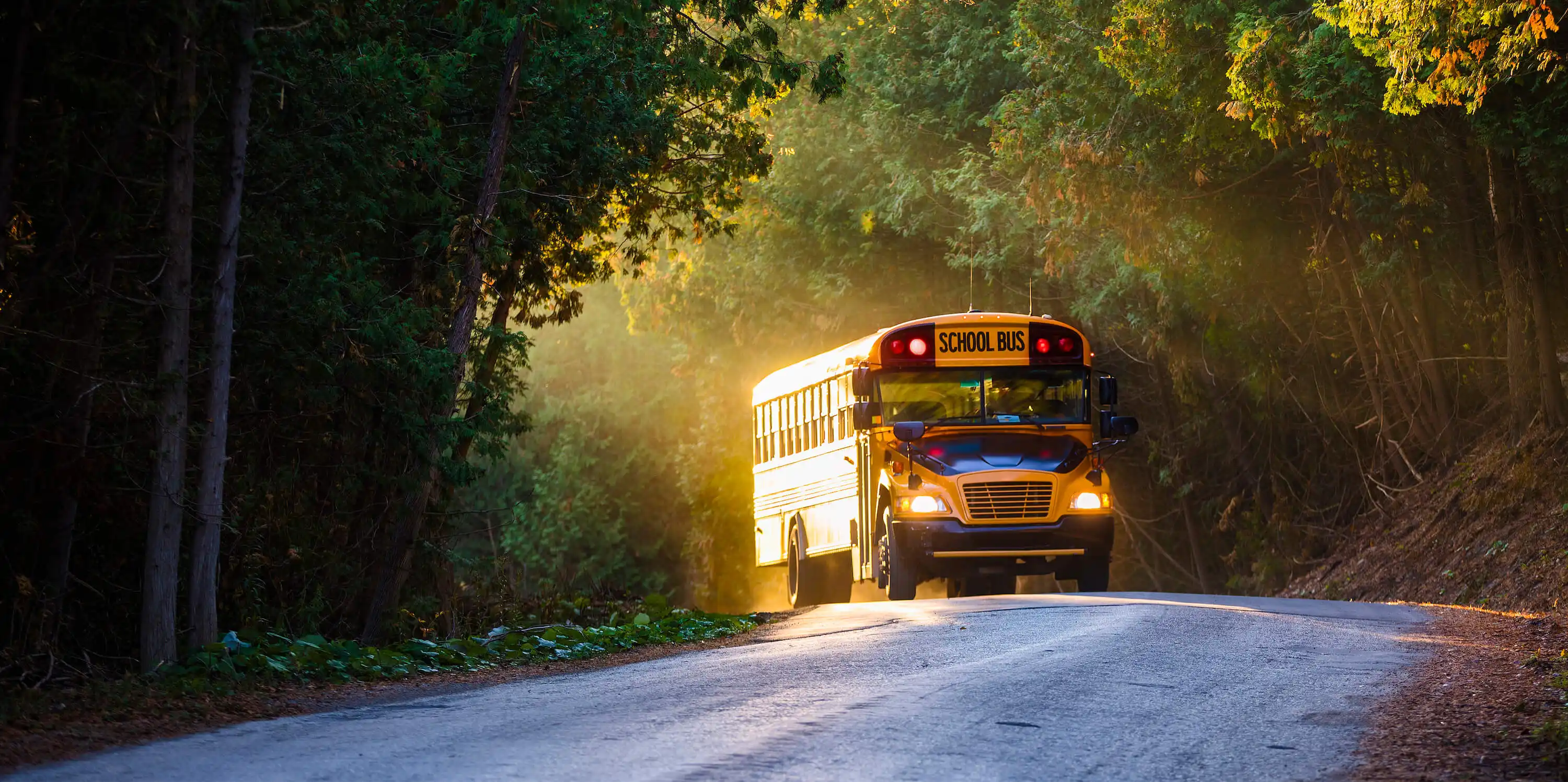 Alternative Fuels Data Center: Electric School Bus Planning Guide