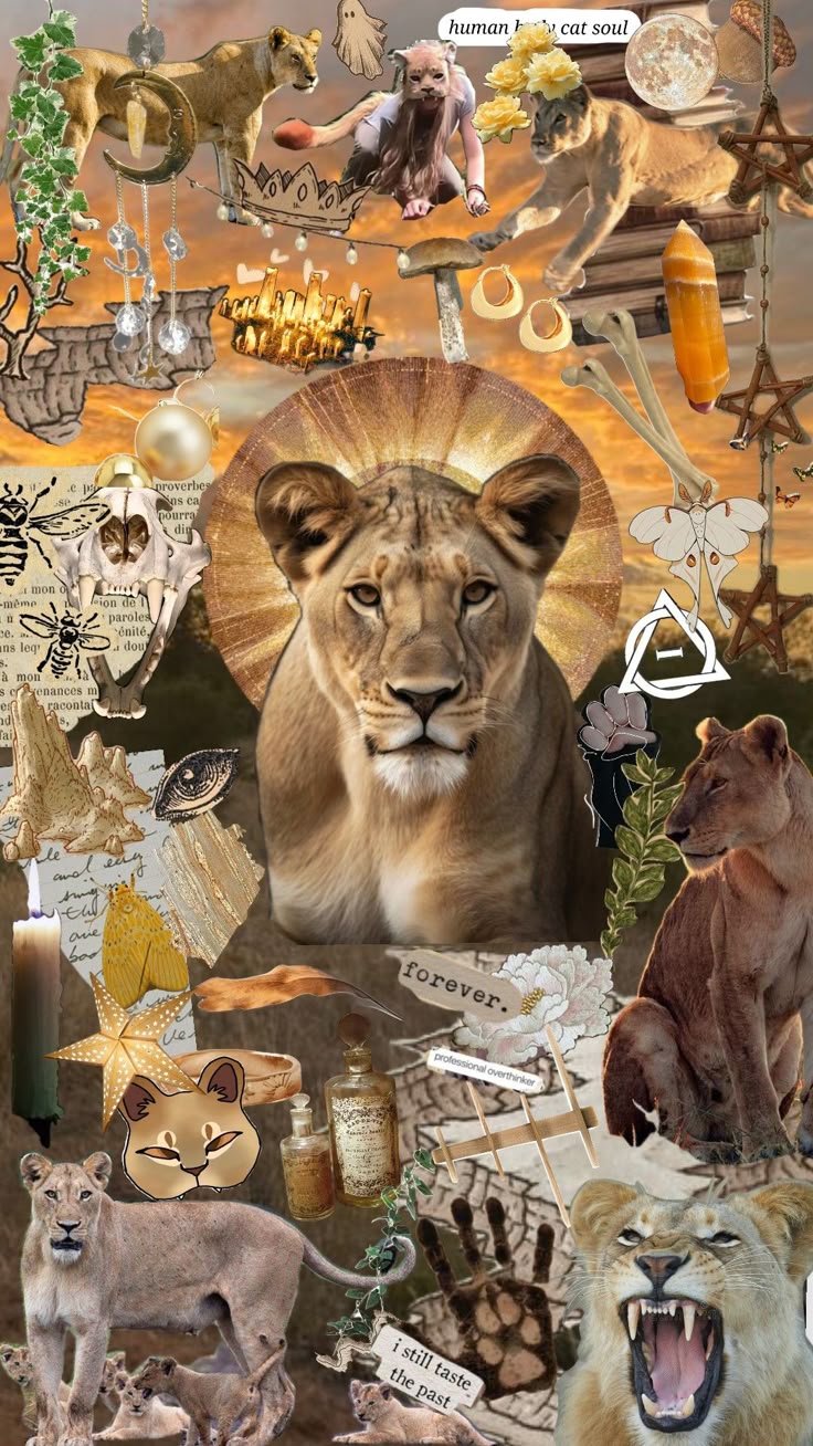 theres so many layers omg #therian #therianwallpaper #lionesses #liontherian