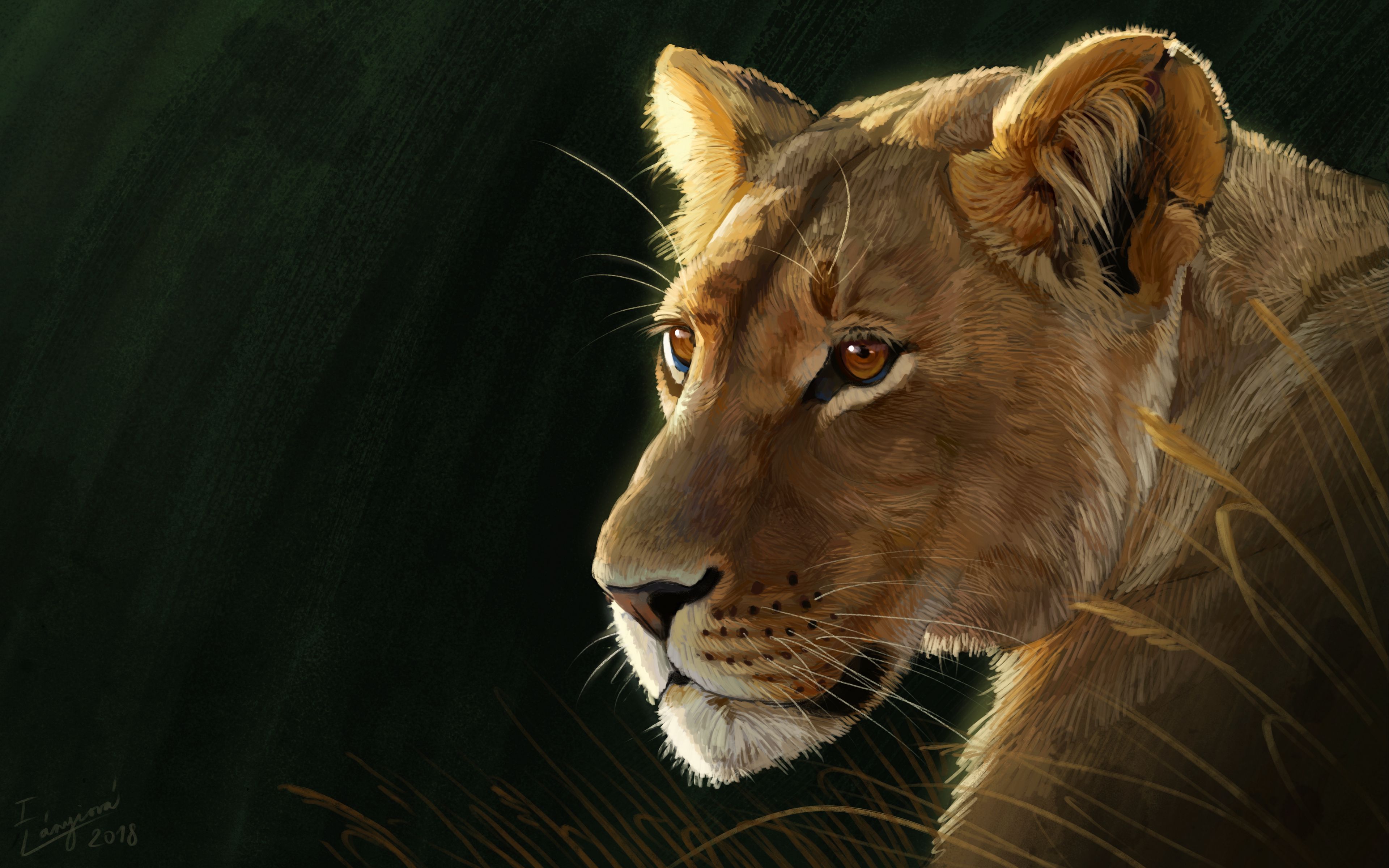 Download wallpaper 3840x2400 lioness, big cat, predator, glance, art 4k ultra HD 16:10 HD background