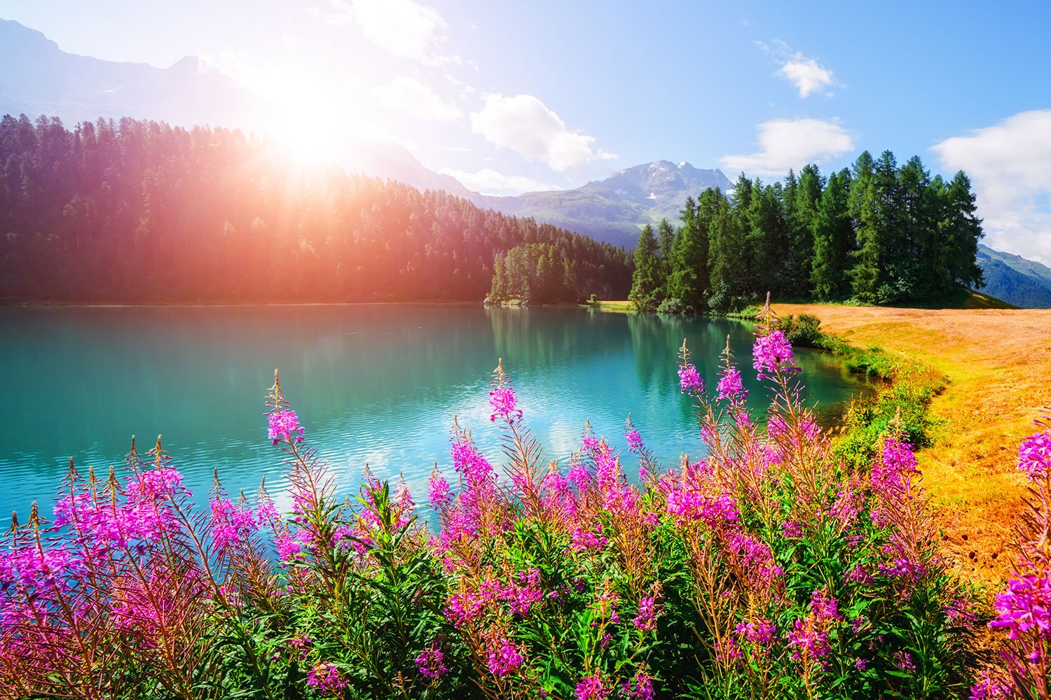 Idyllic