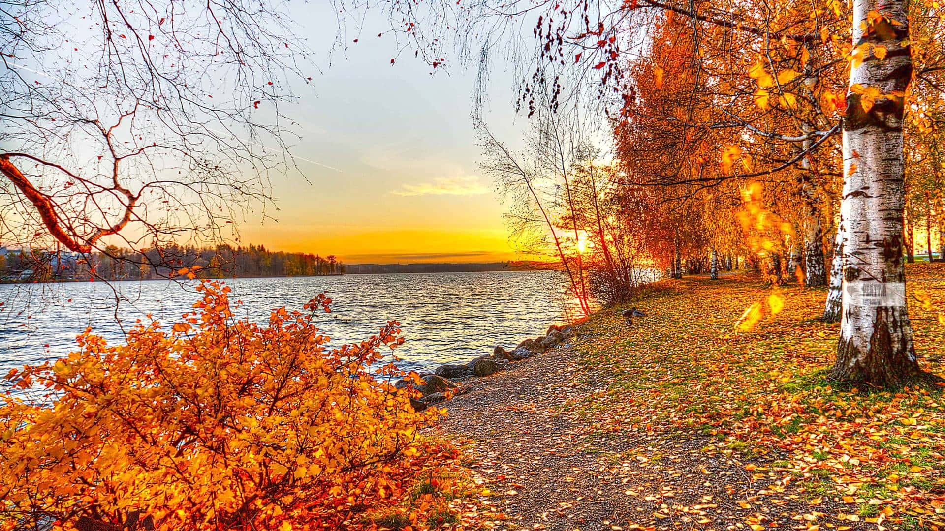 Download An idyllic fall landscape by the lake Wallpaper