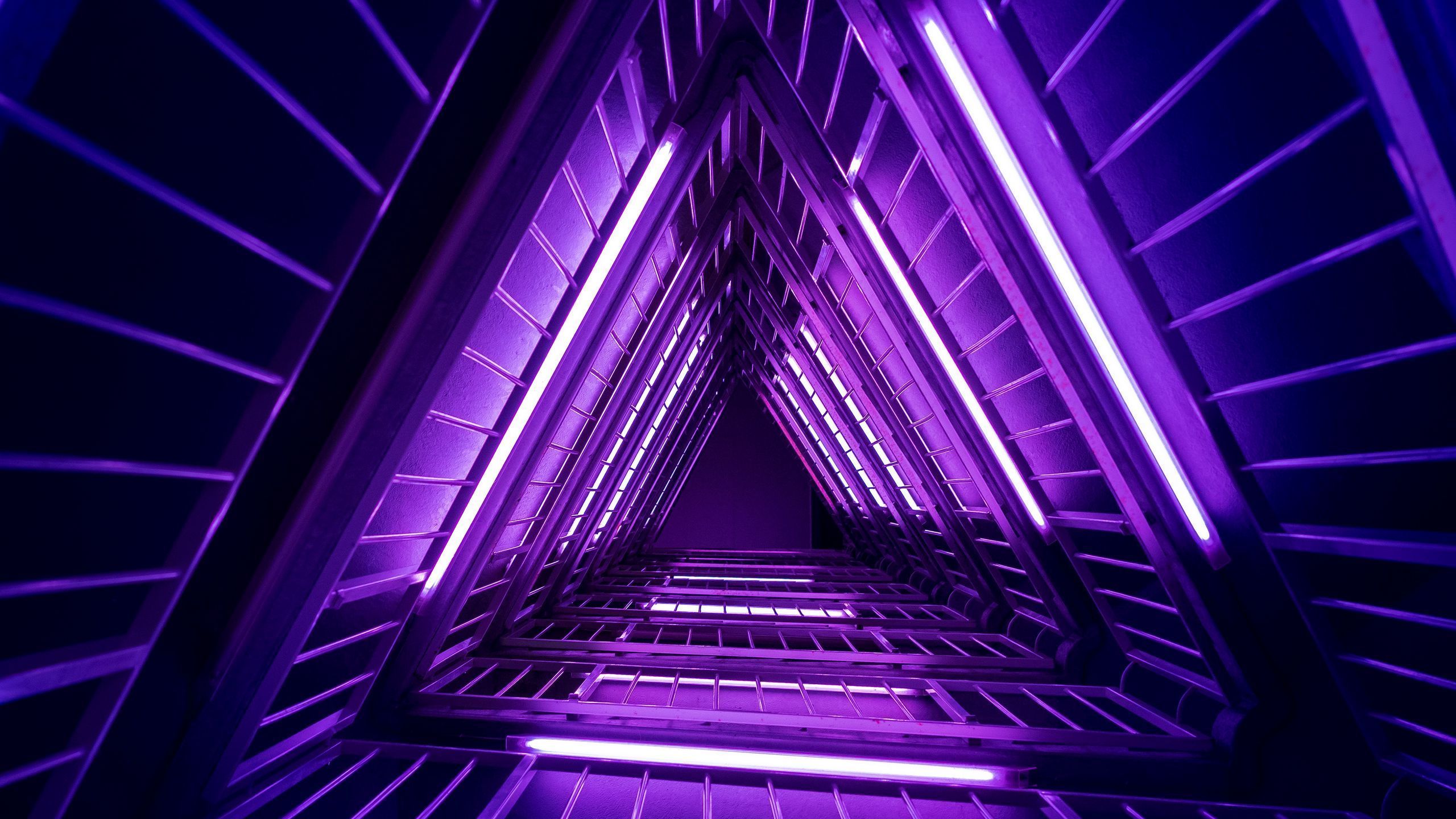 Purple Wallpaper