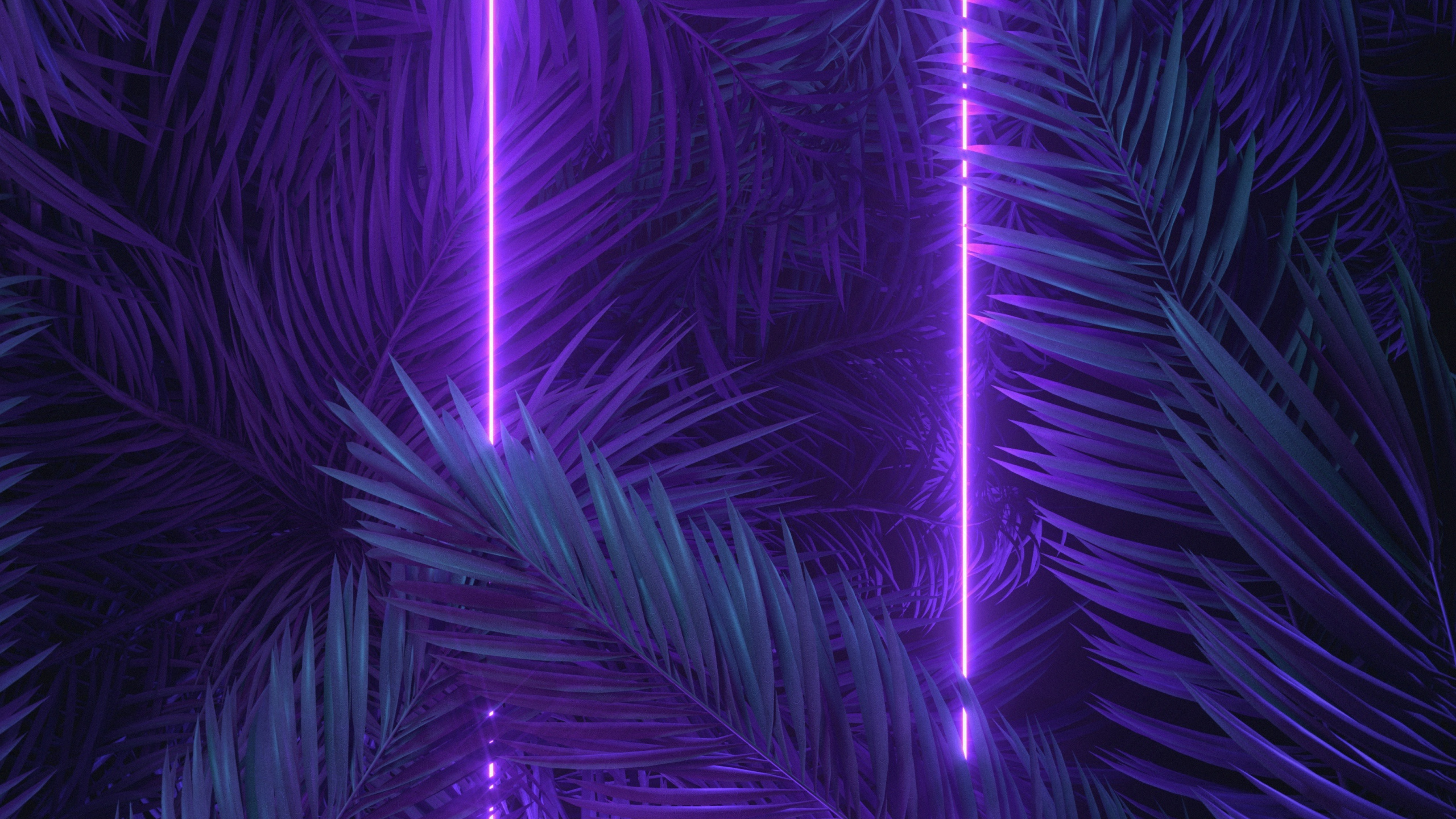 WQHD, QHD, 16:9 Purple Wallpaper Free 2560x1440 High Quality Background
