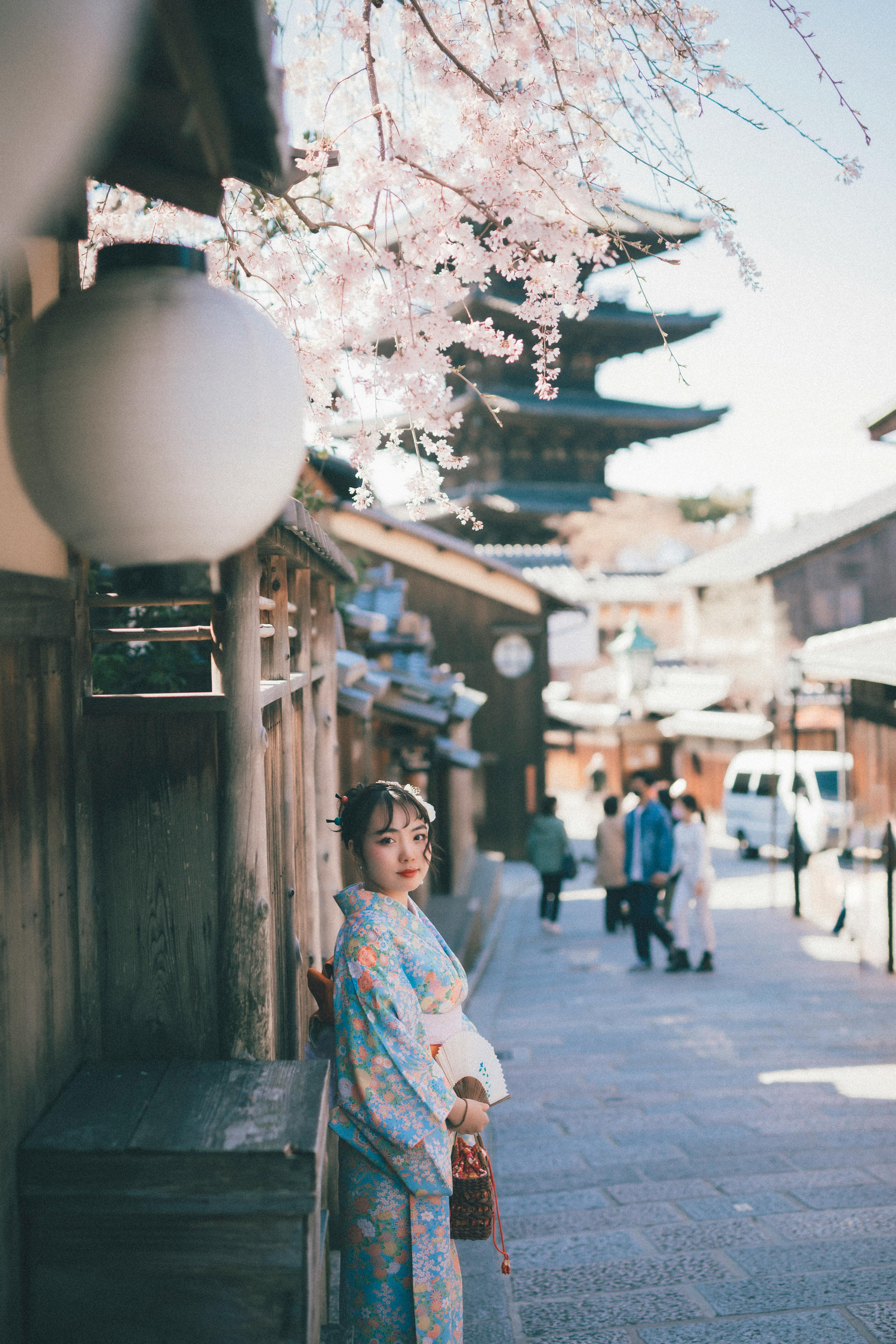 Japanese Woman in Kimono at Cherry Blossom Season · Free
