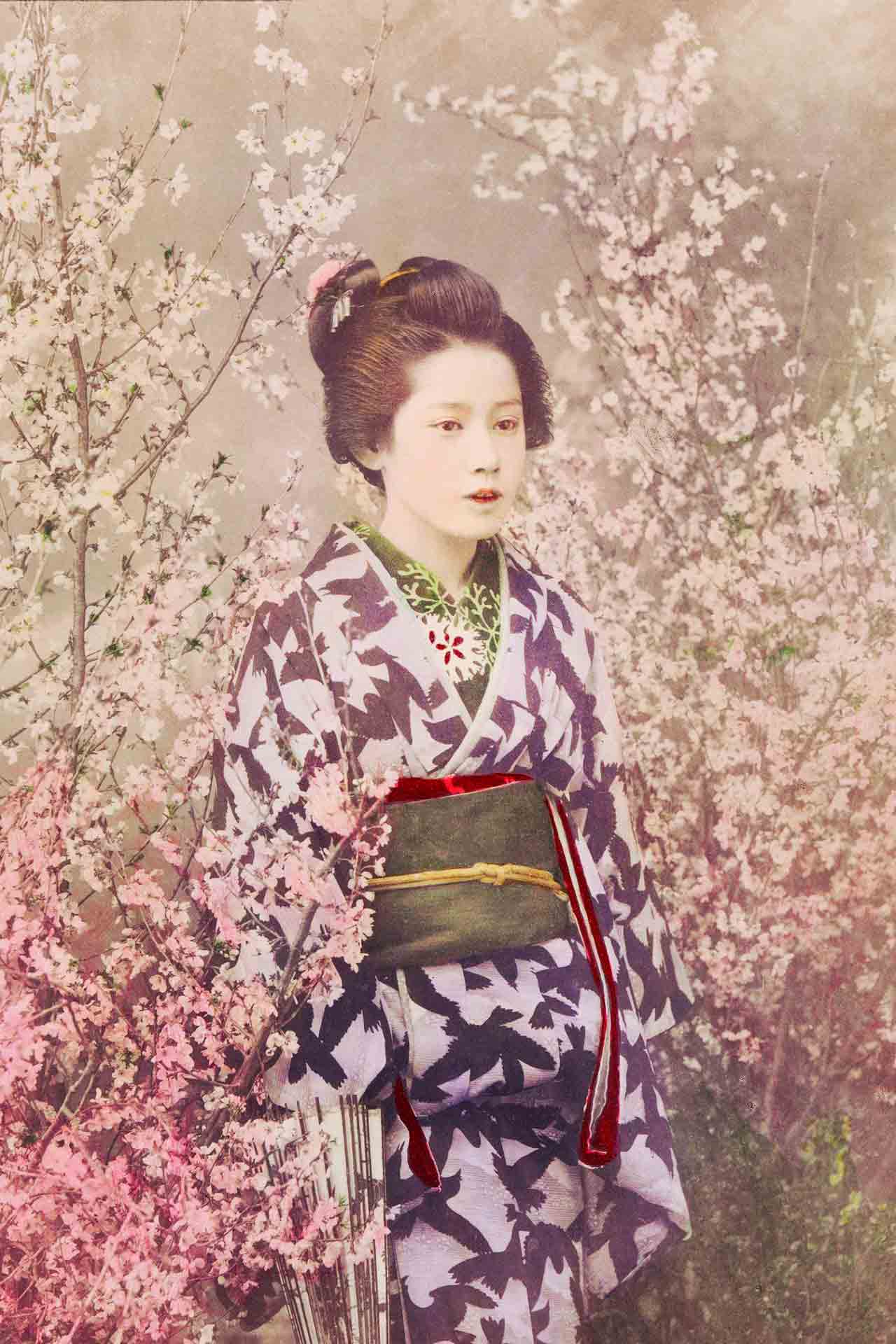 Geisha Saven Wall Design