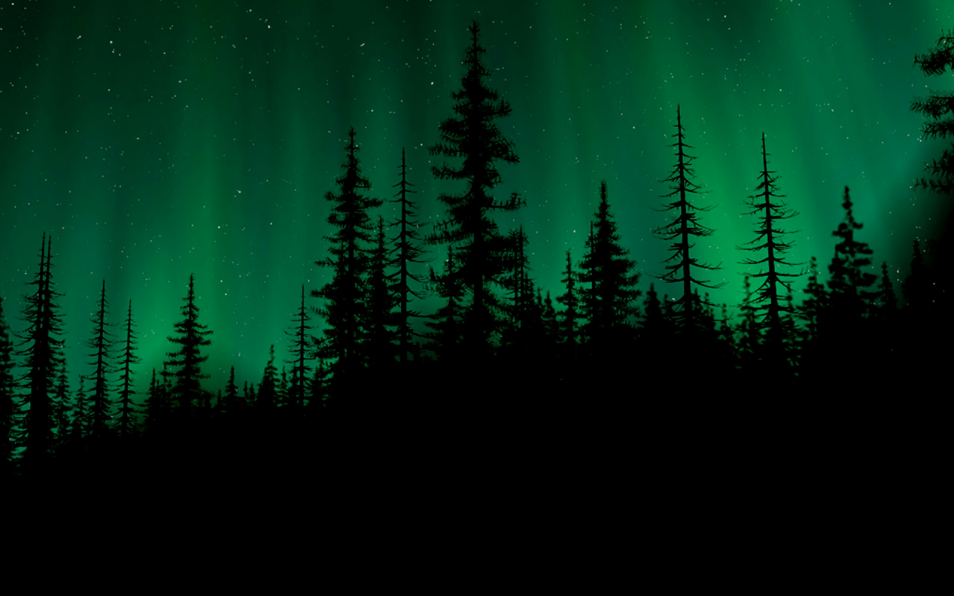 Download Silhouette Tree Forest Light Sky Nature Aurora Borealis HD Wallpaper