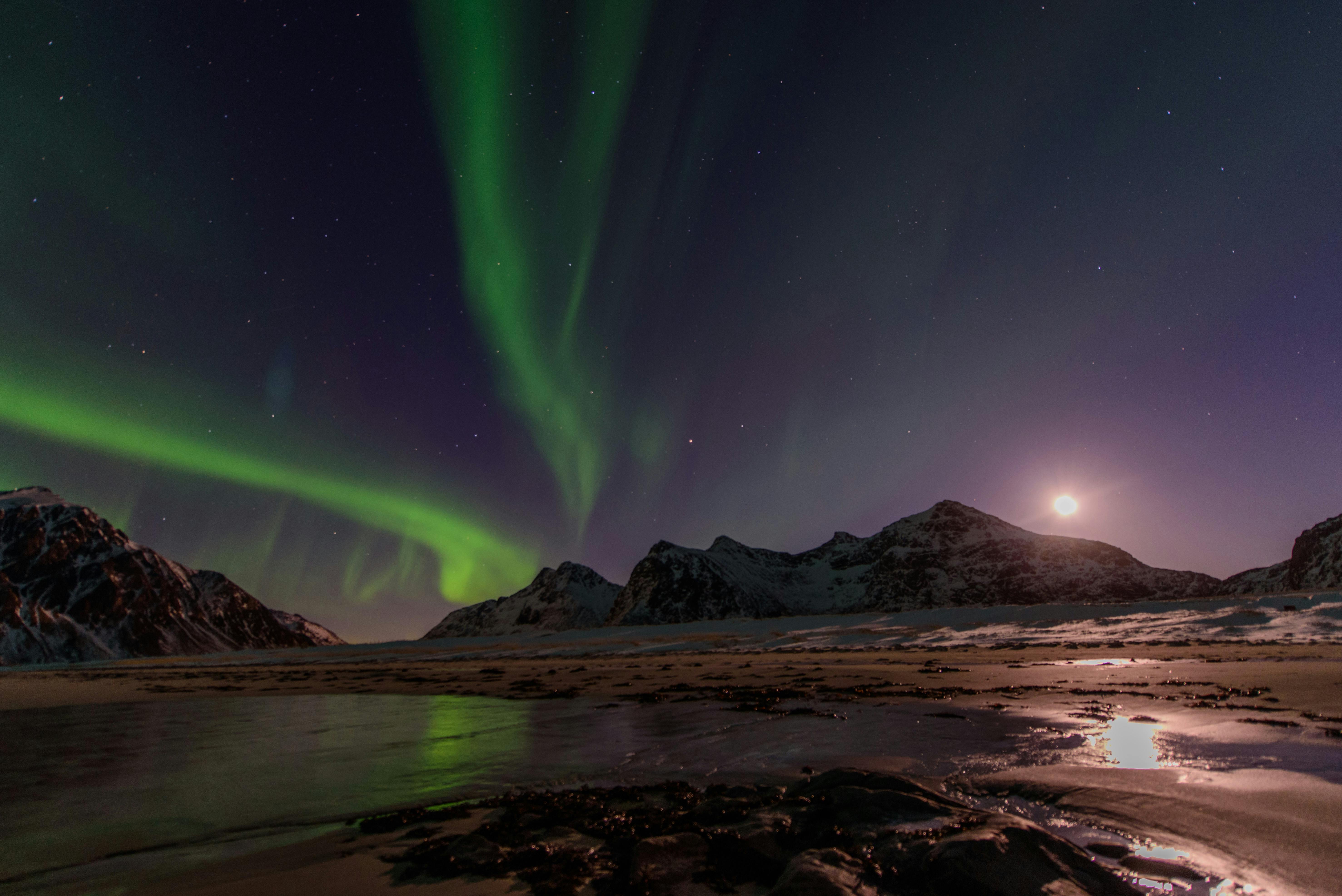 A Scenic View of Aurora Borealis on Dark Starry Sky · Free